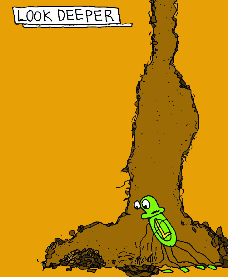 John's Commentary:  Who knows what you'll find.