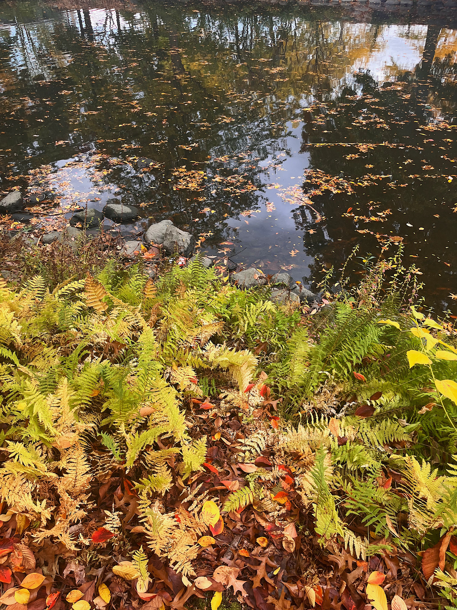 shoreline view