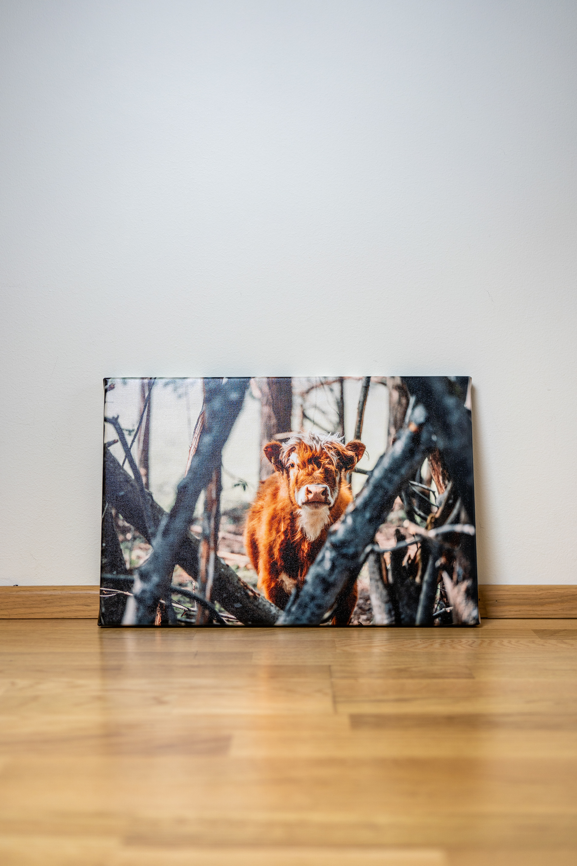 30x45 cm premium satin canvas