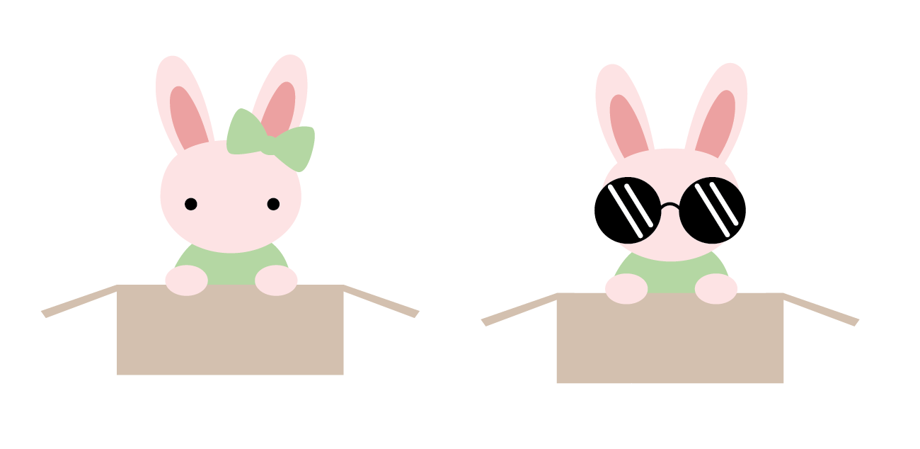 2 different versions