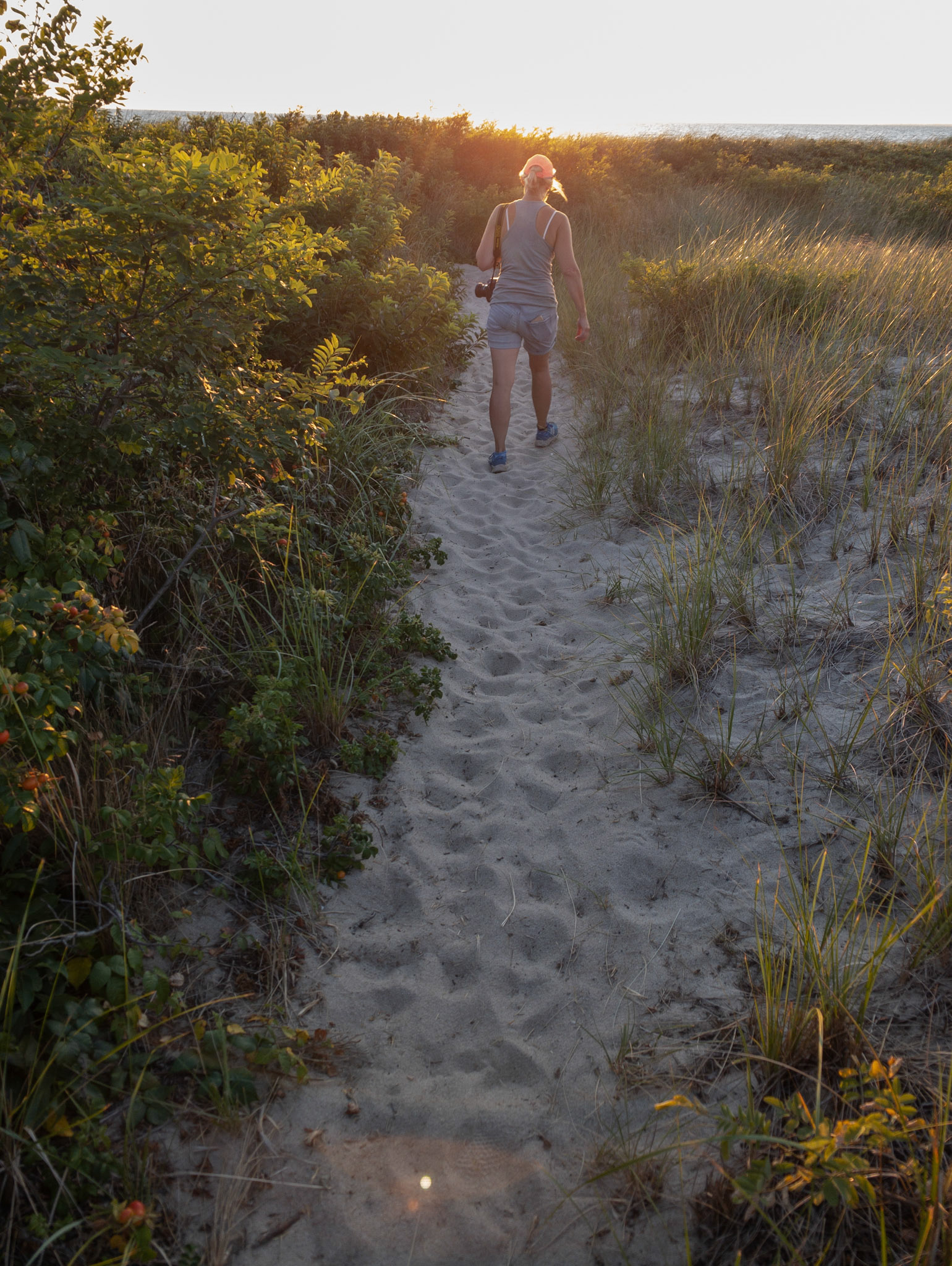 Wellfleet, Ma, 2020:  Joanne Smith exploring Cape Cod's most hidden treasure on Cape Cod