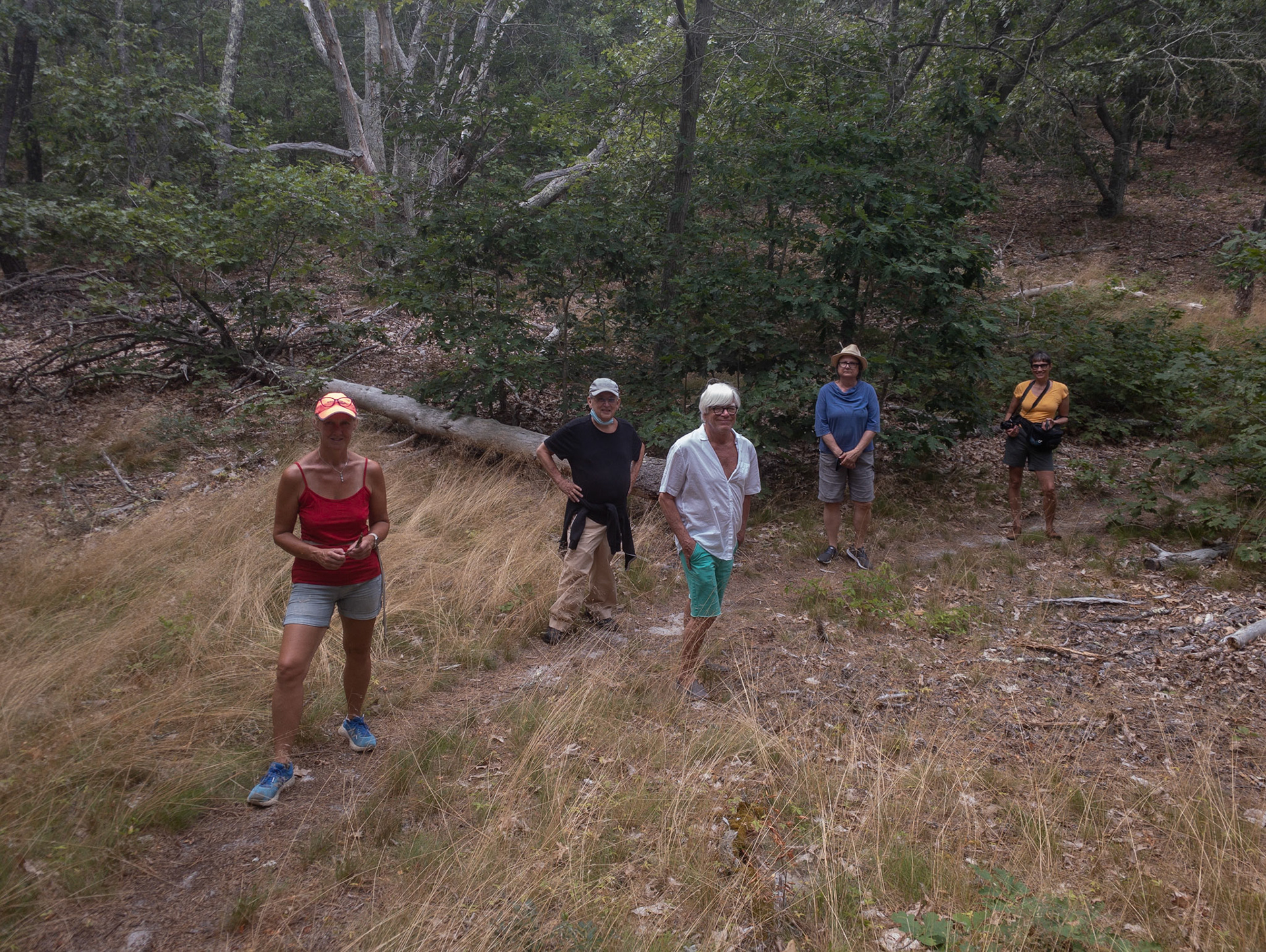 Album cover shot of the Cape's Joy Seekers.