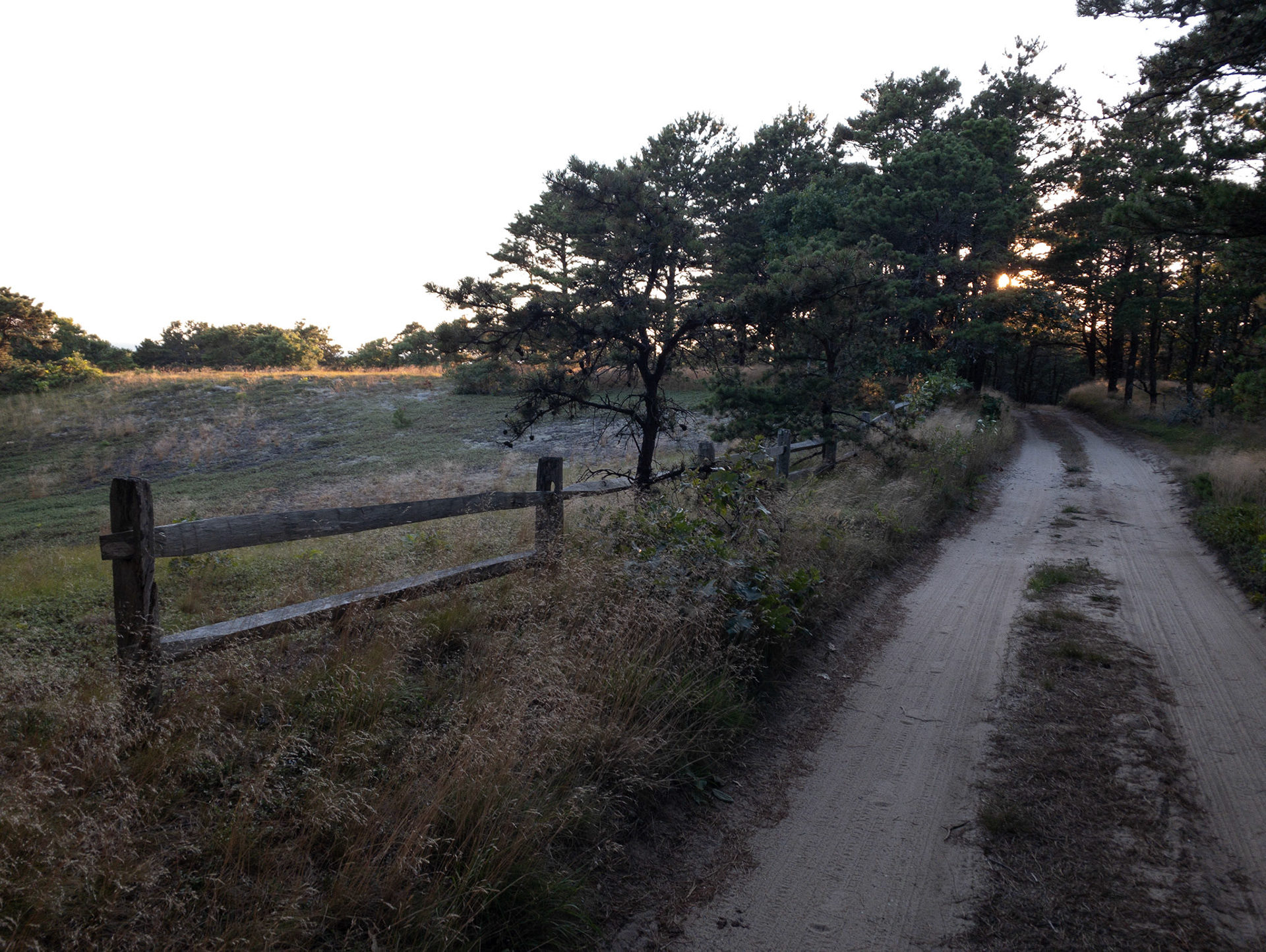 Wellfleet, Ma. August 2020:  There are sandy dirt roads on Cape Cod that are hidden from most of the public.
