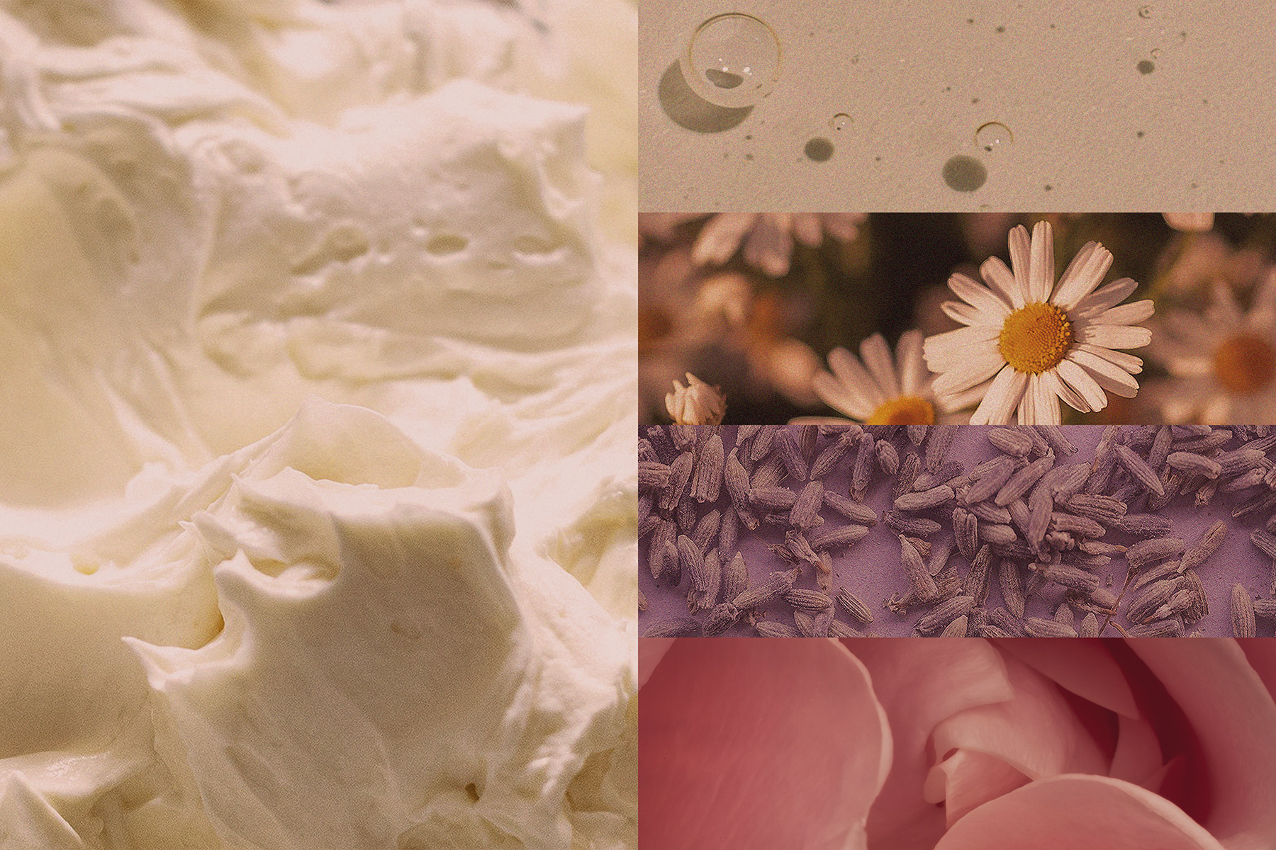 A sensory collage exploring the key ingredients, textures, and floral notes.