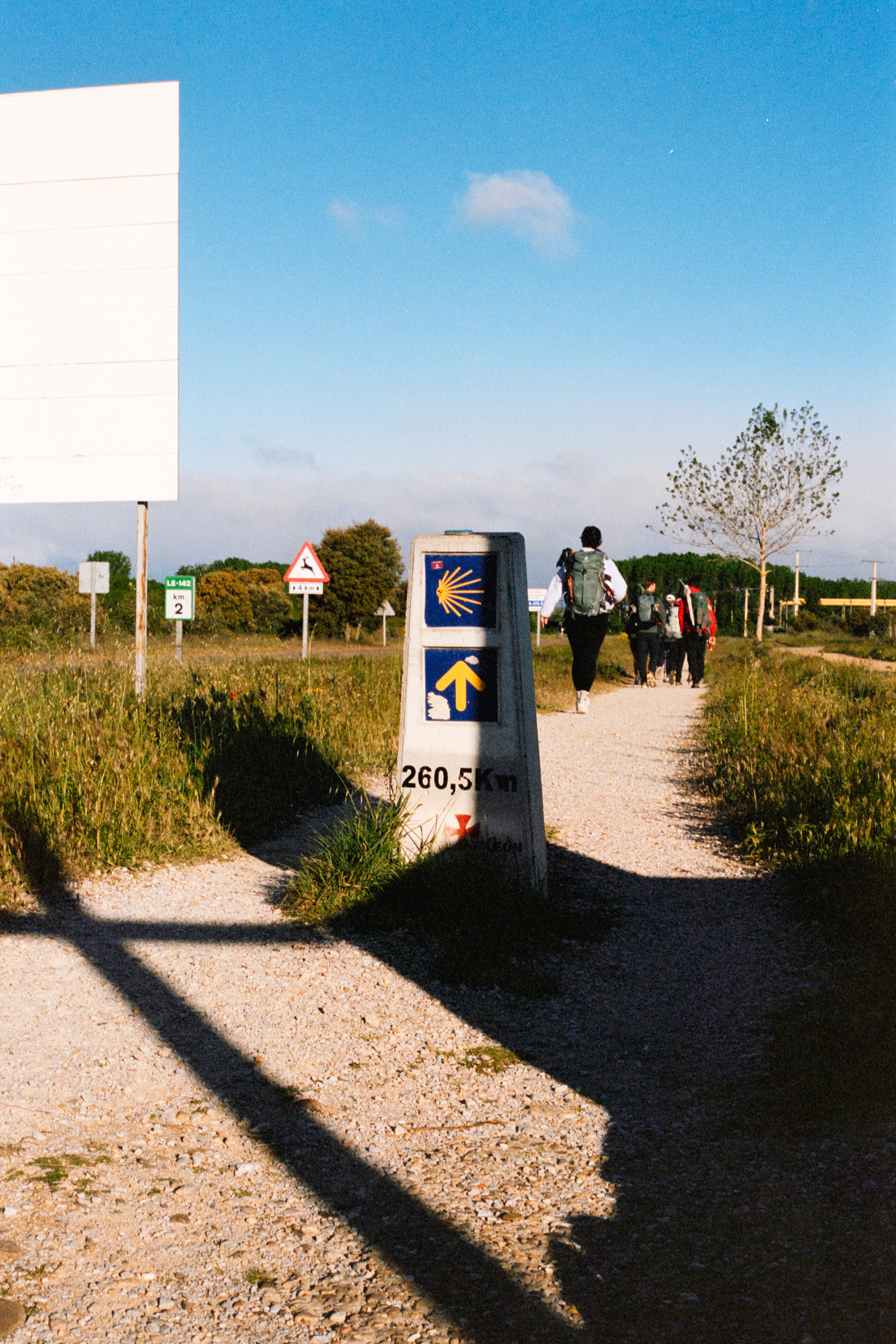 Camino De Santiago
