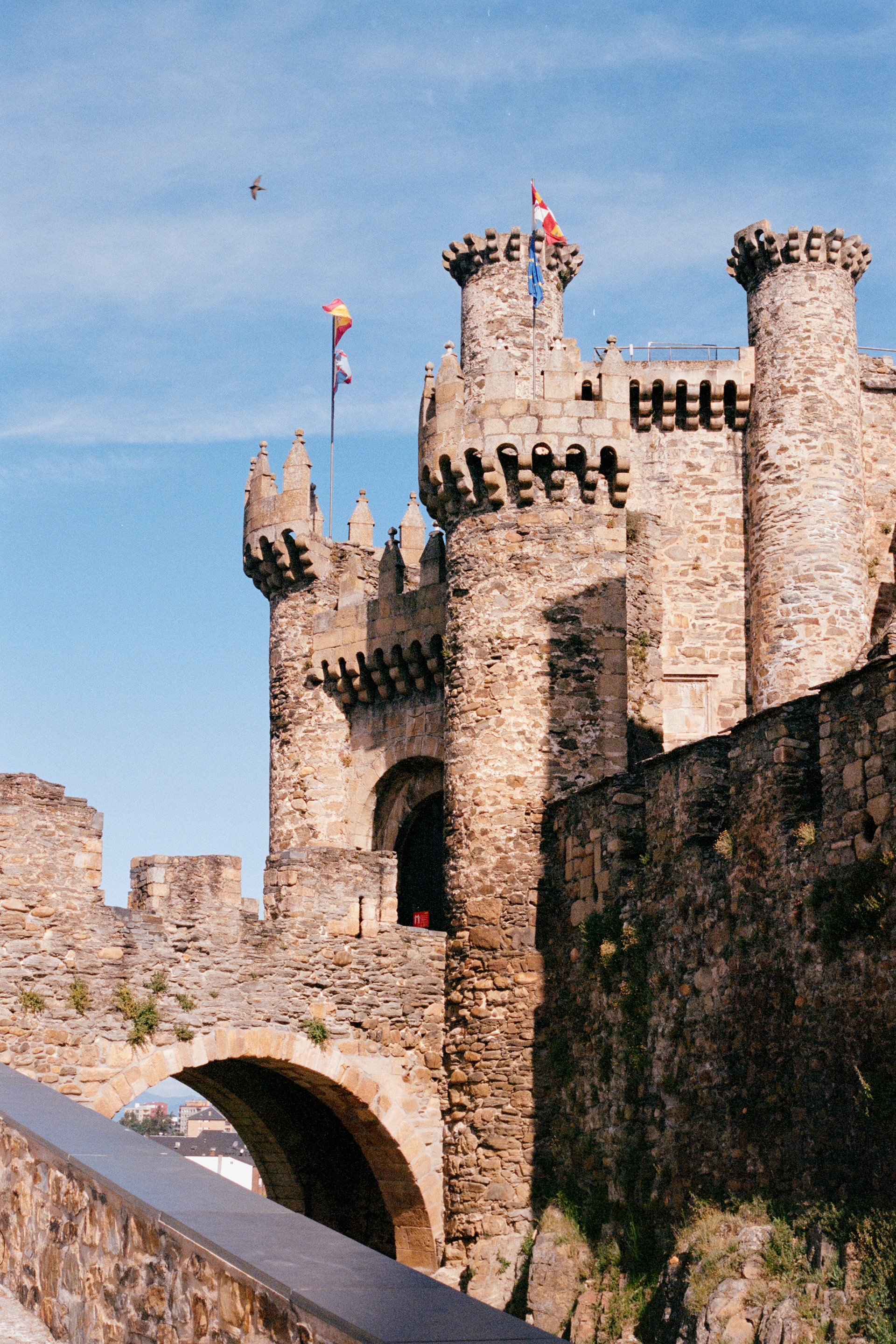 Camino De Santiago