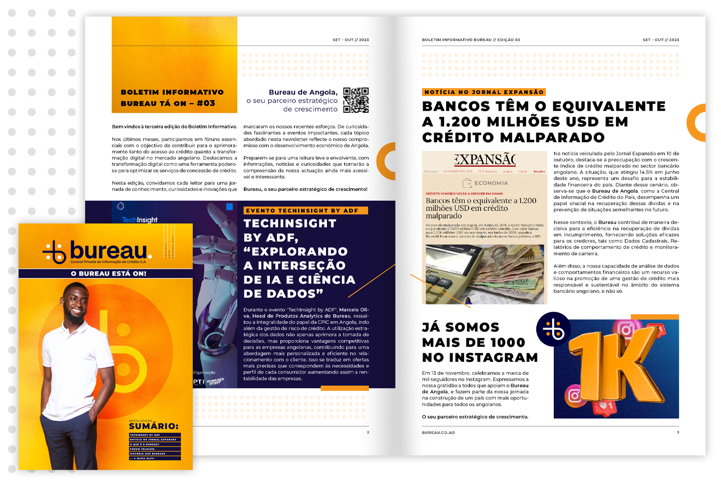 Publicações Impressas / Online