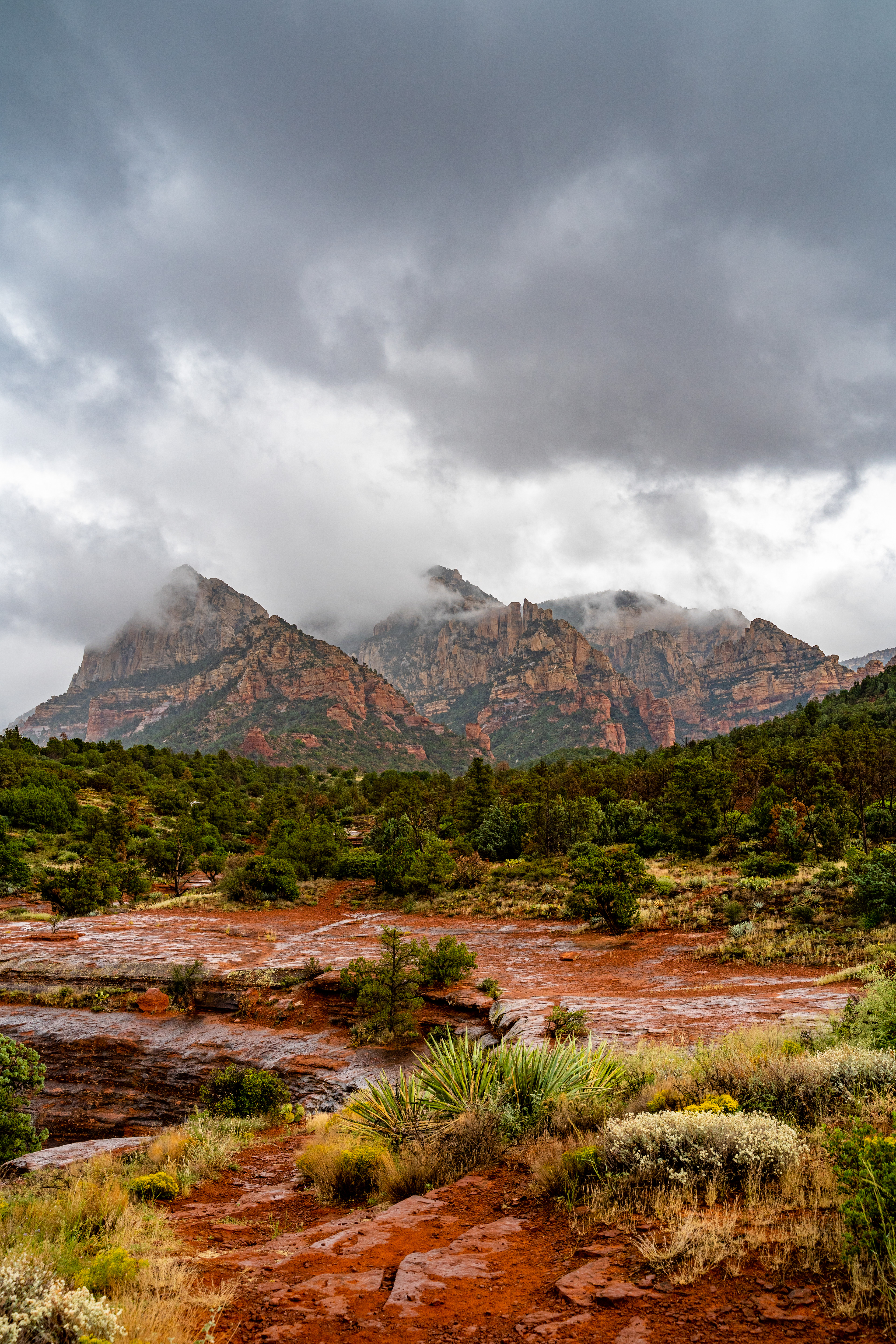 Sedona