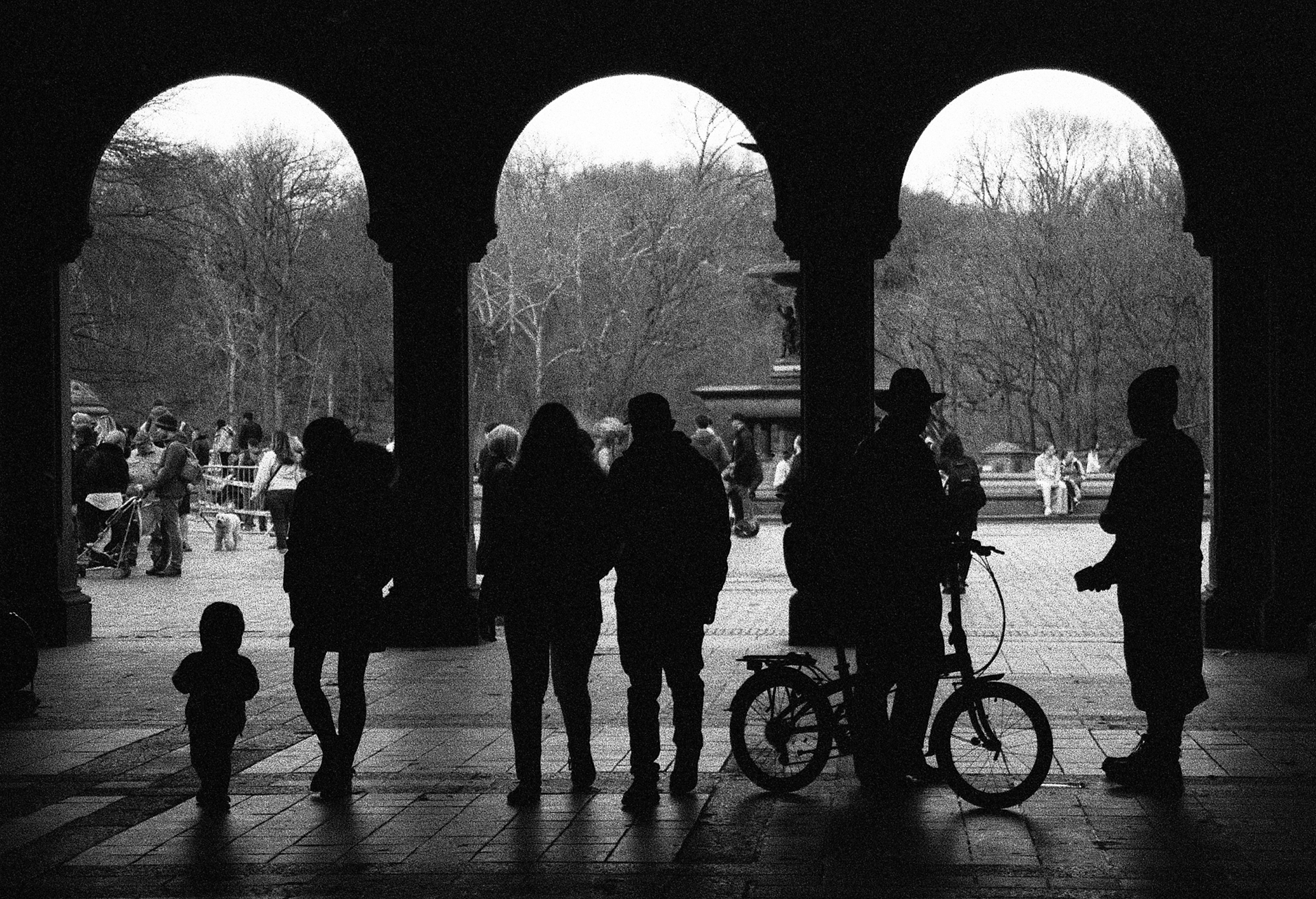 Central Park, New York, NY (35mm)