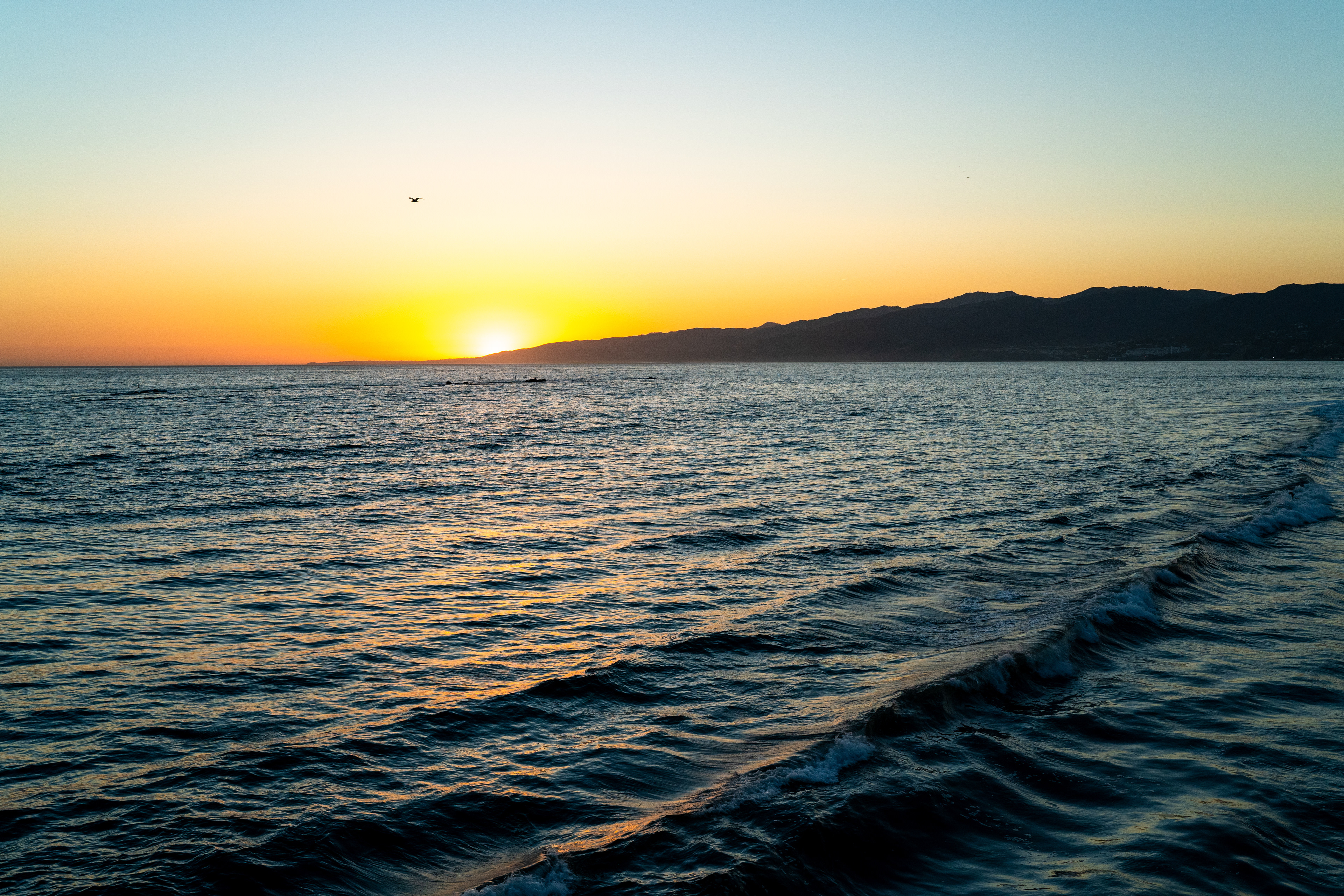 Pacific Coast