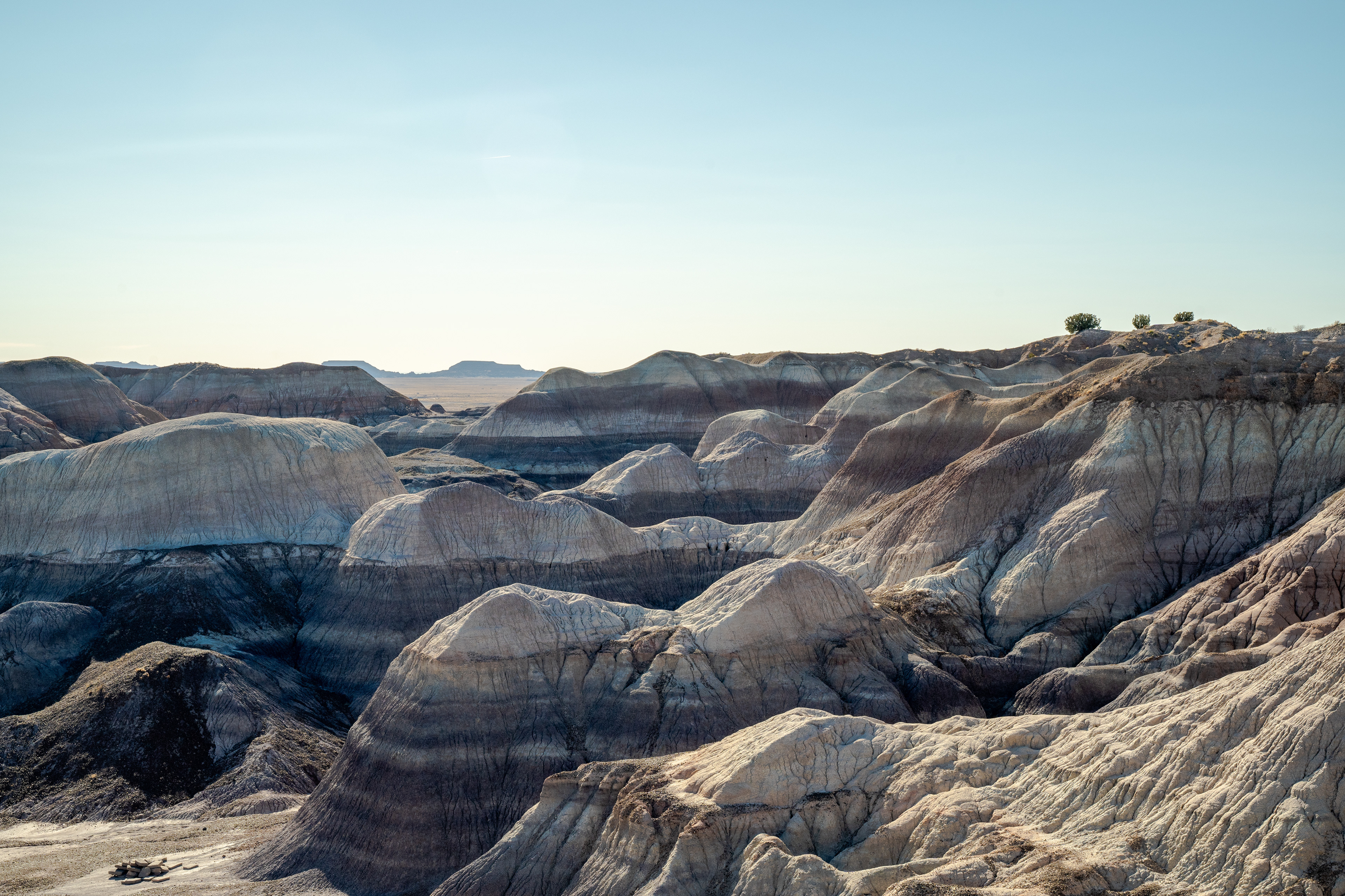 Blue Mesa Badlands, AZ