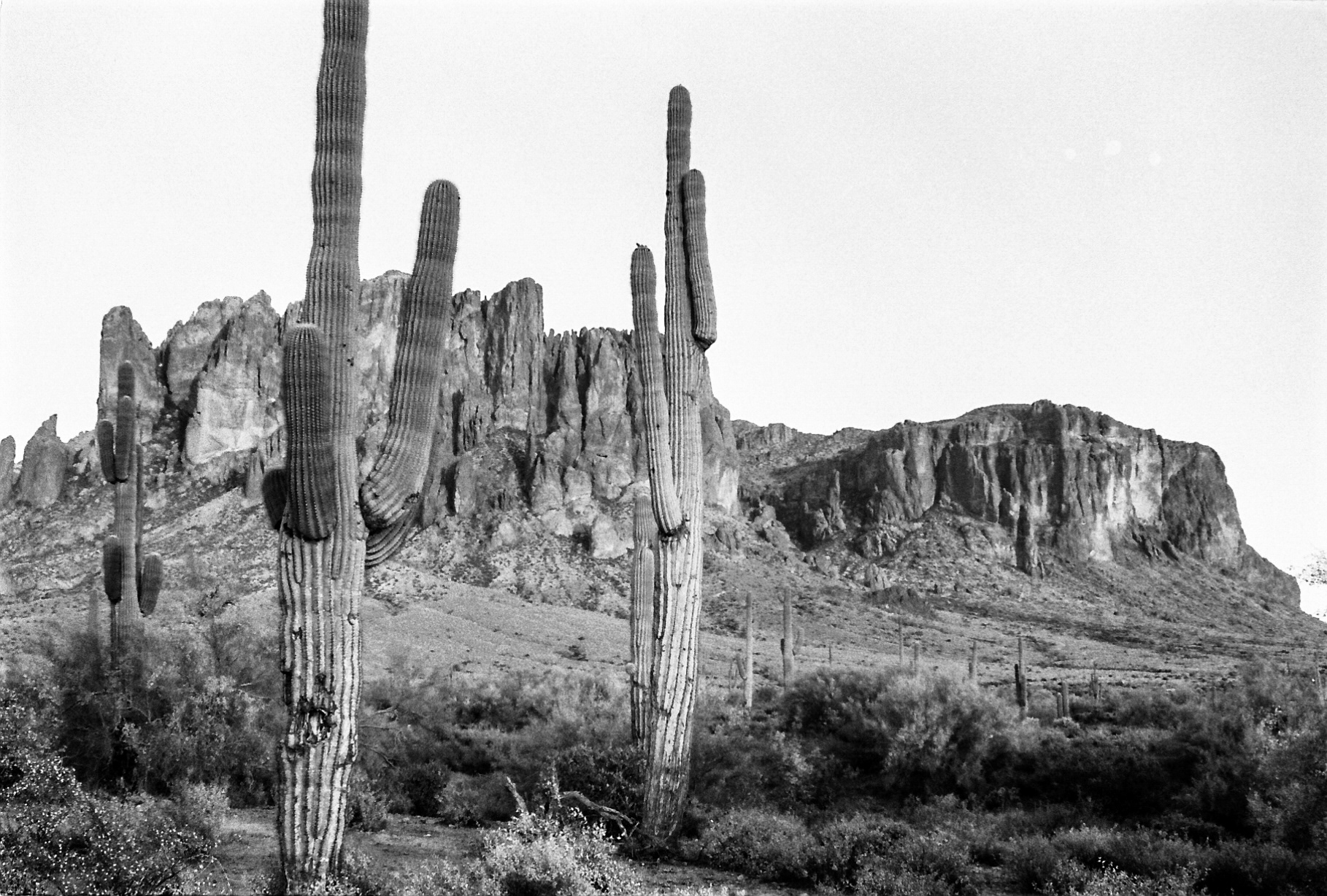 Arizona