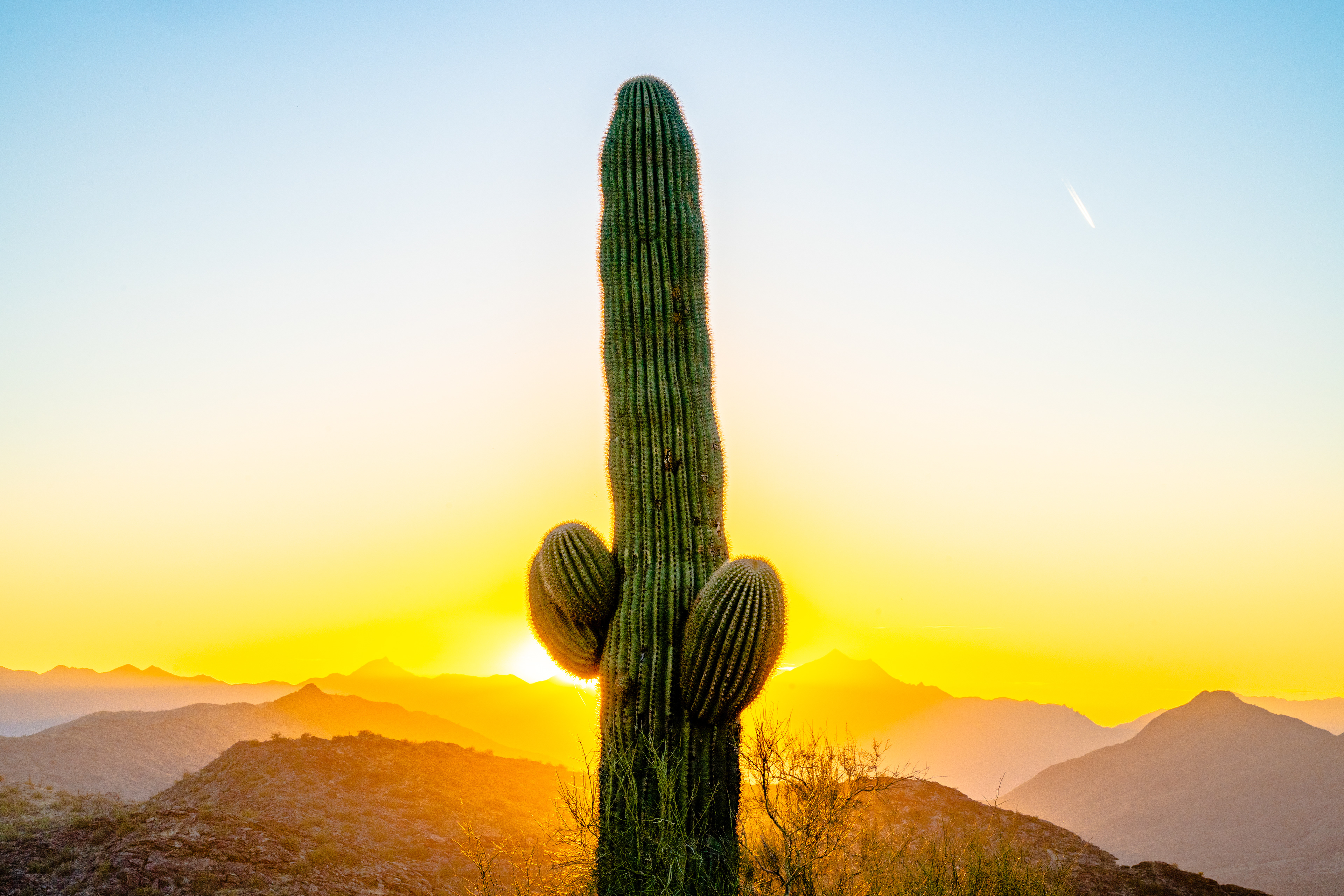 Arizona