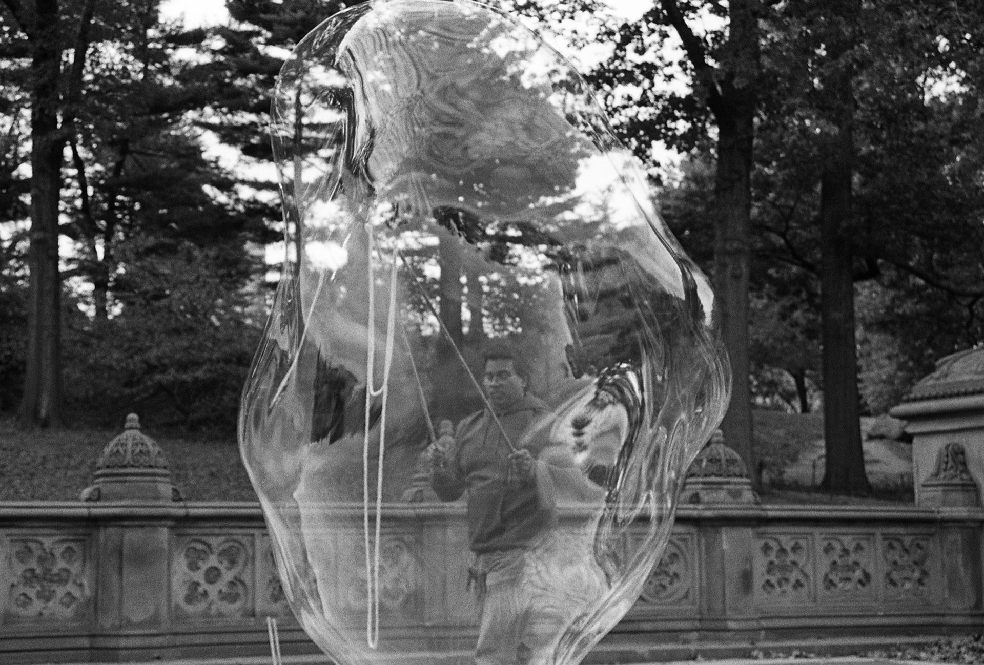 Central Park, New York, NY (35mm)