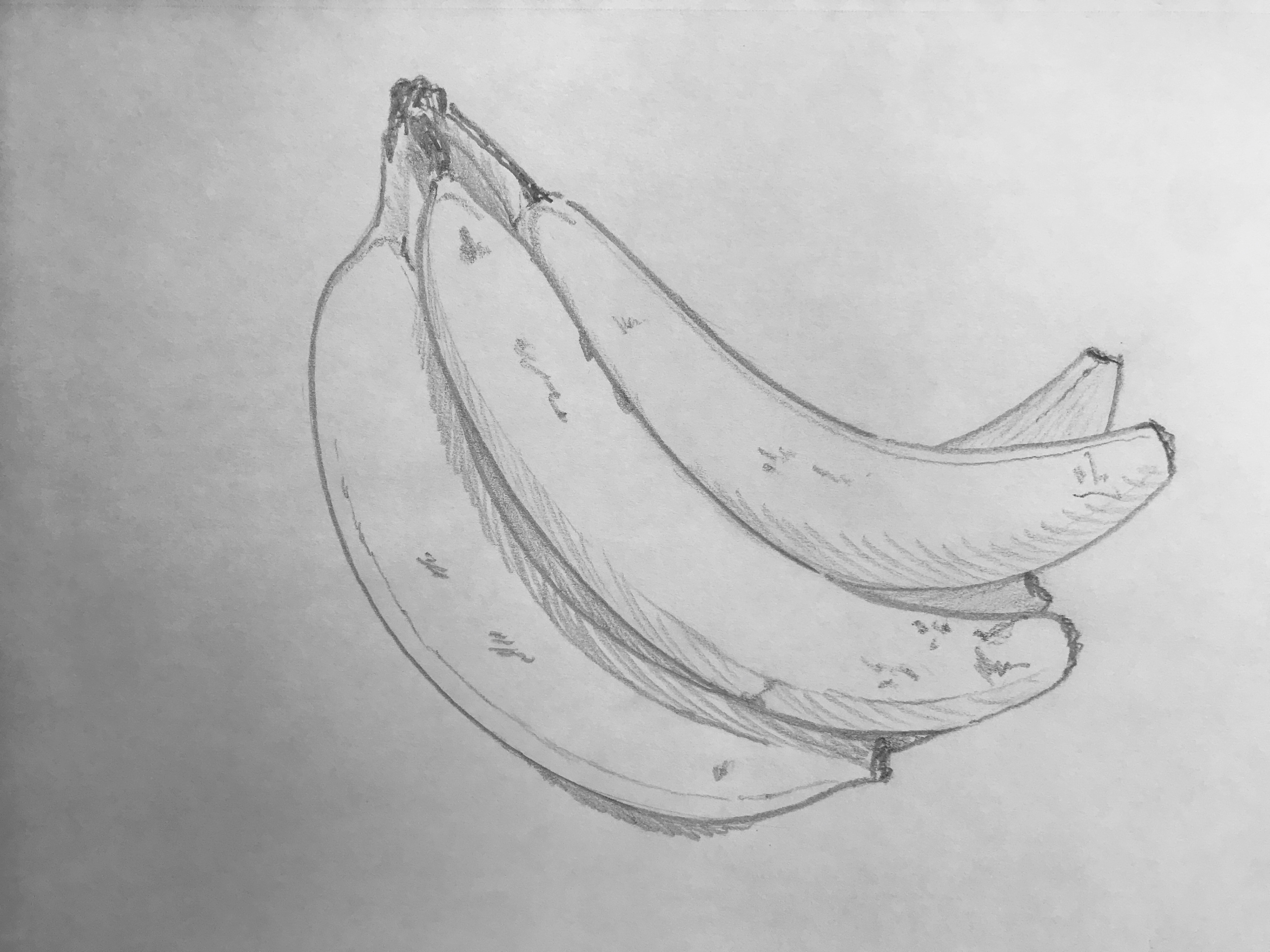 sketchbook - pencil