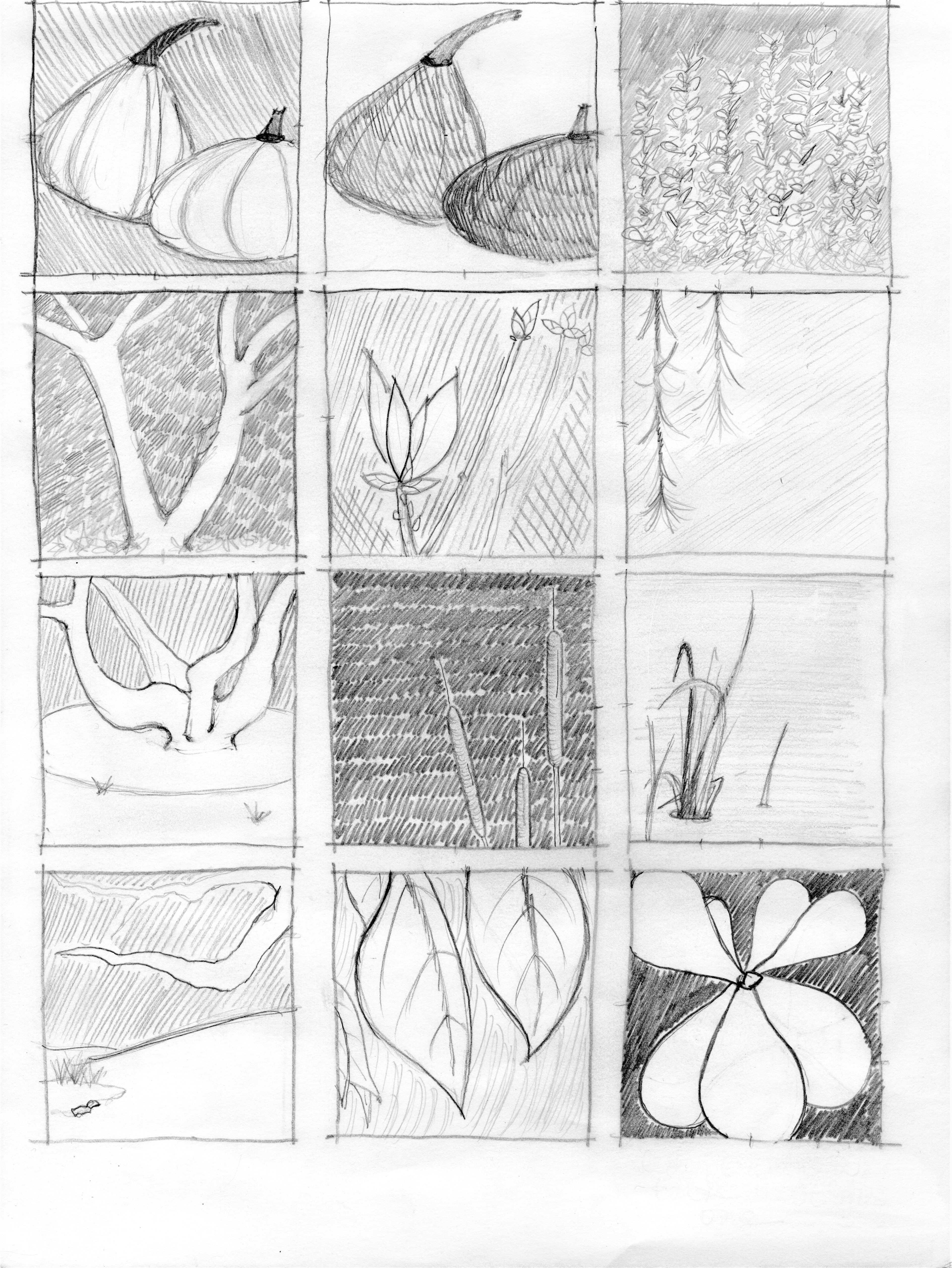 study in detail, natural - pencil - course assignment