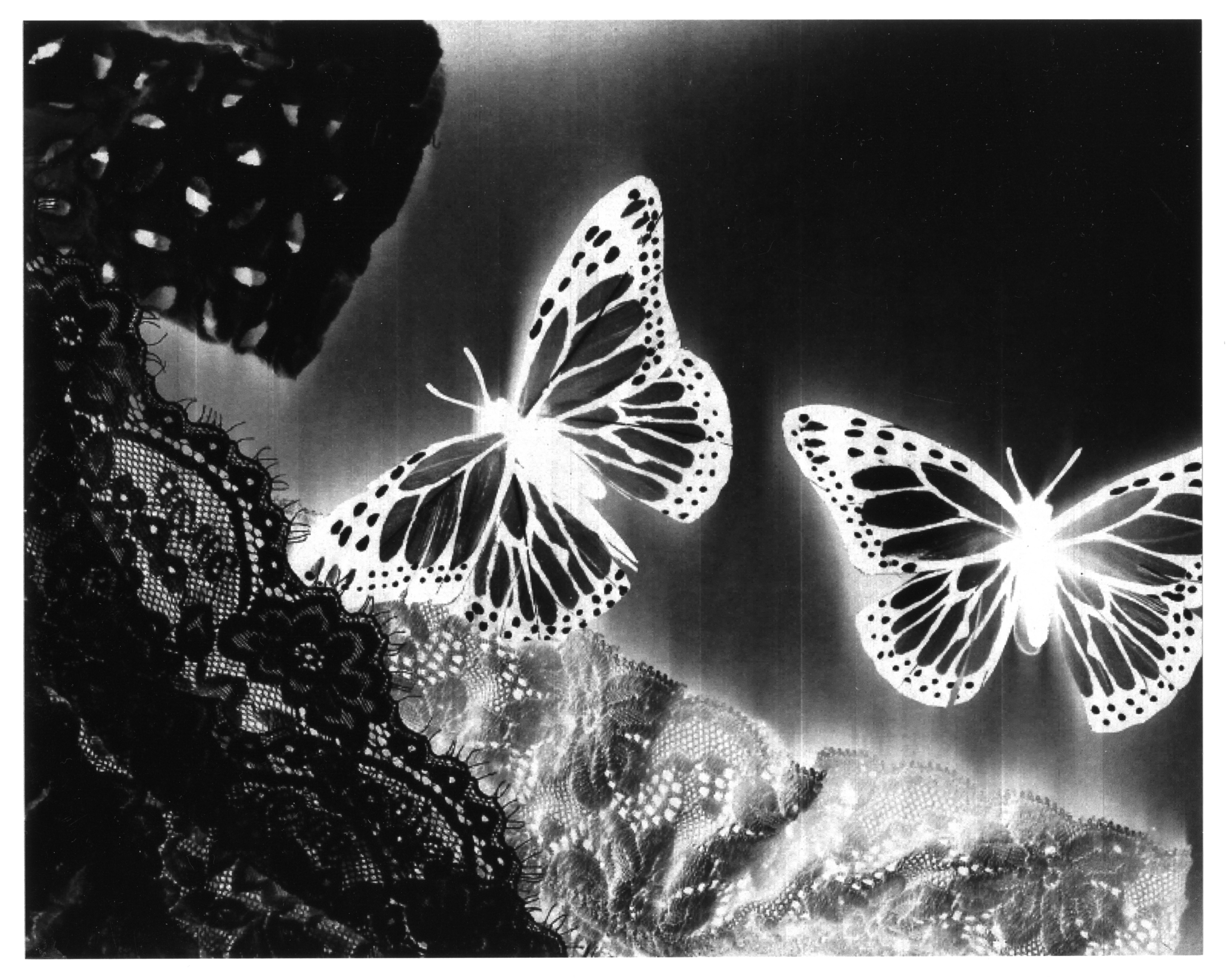 alternative photography - photocopier