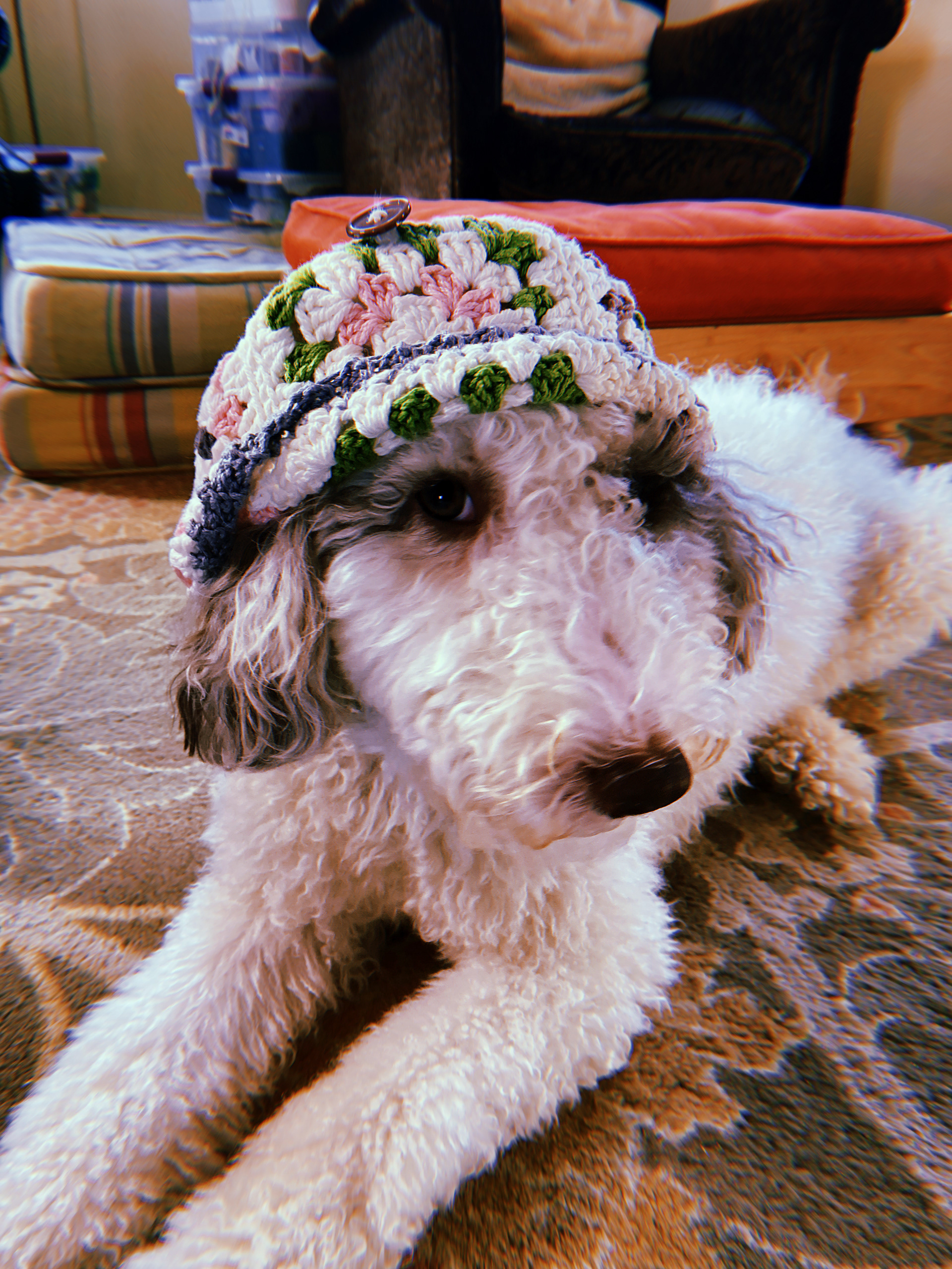 pup granny balaclava - crochet