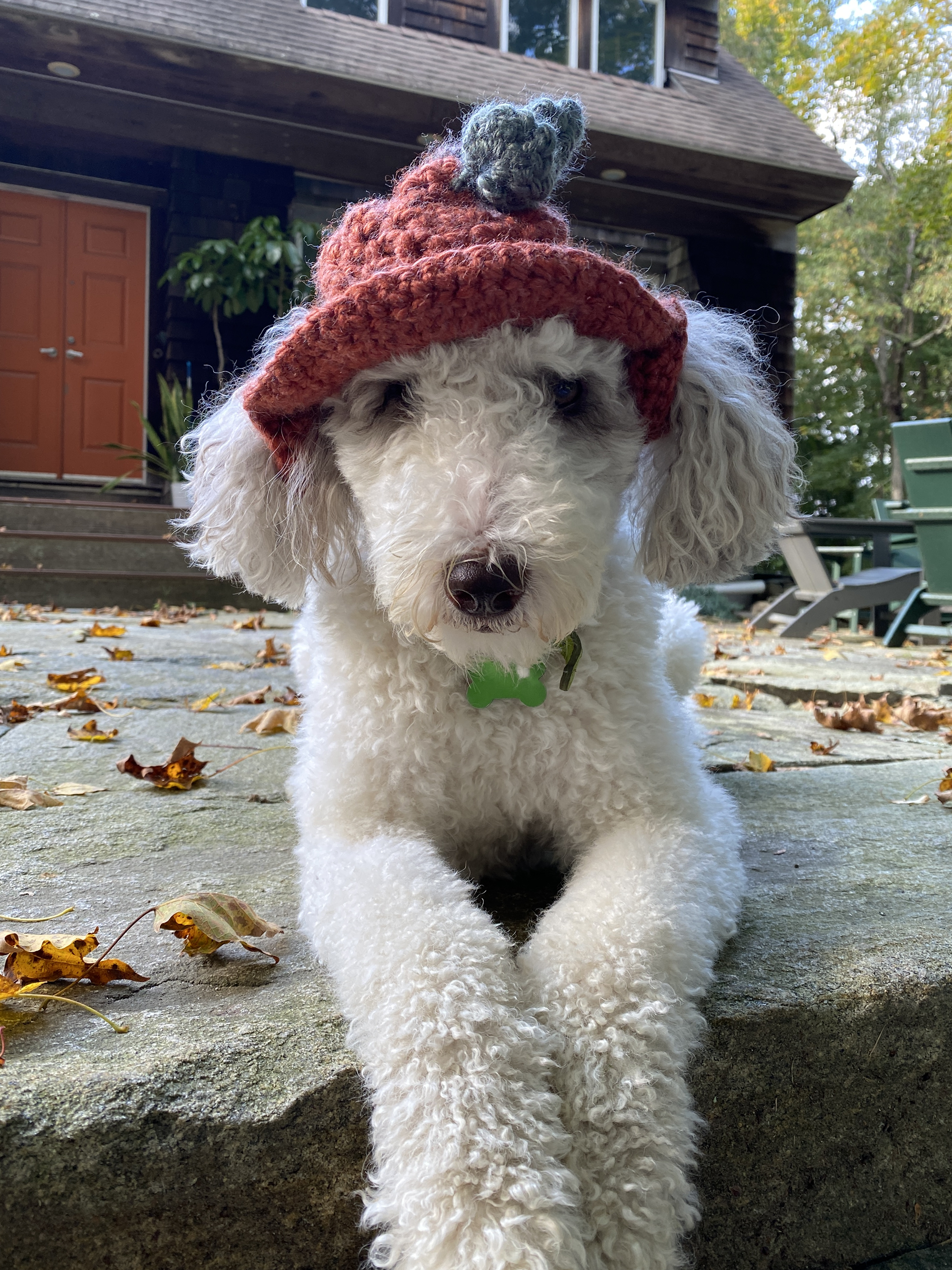 pup-kin balaclava - crochet