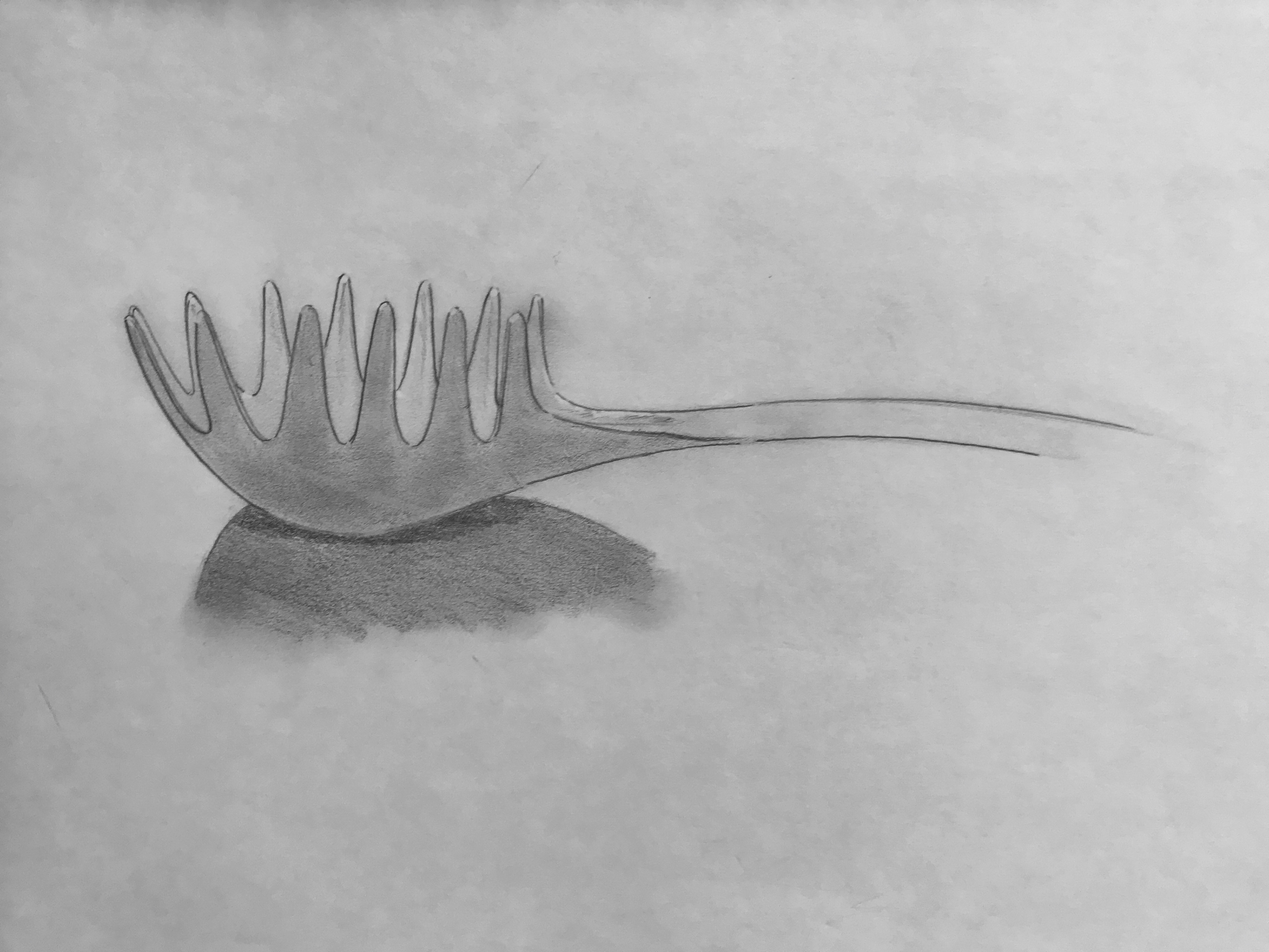 sketchbook - pencil