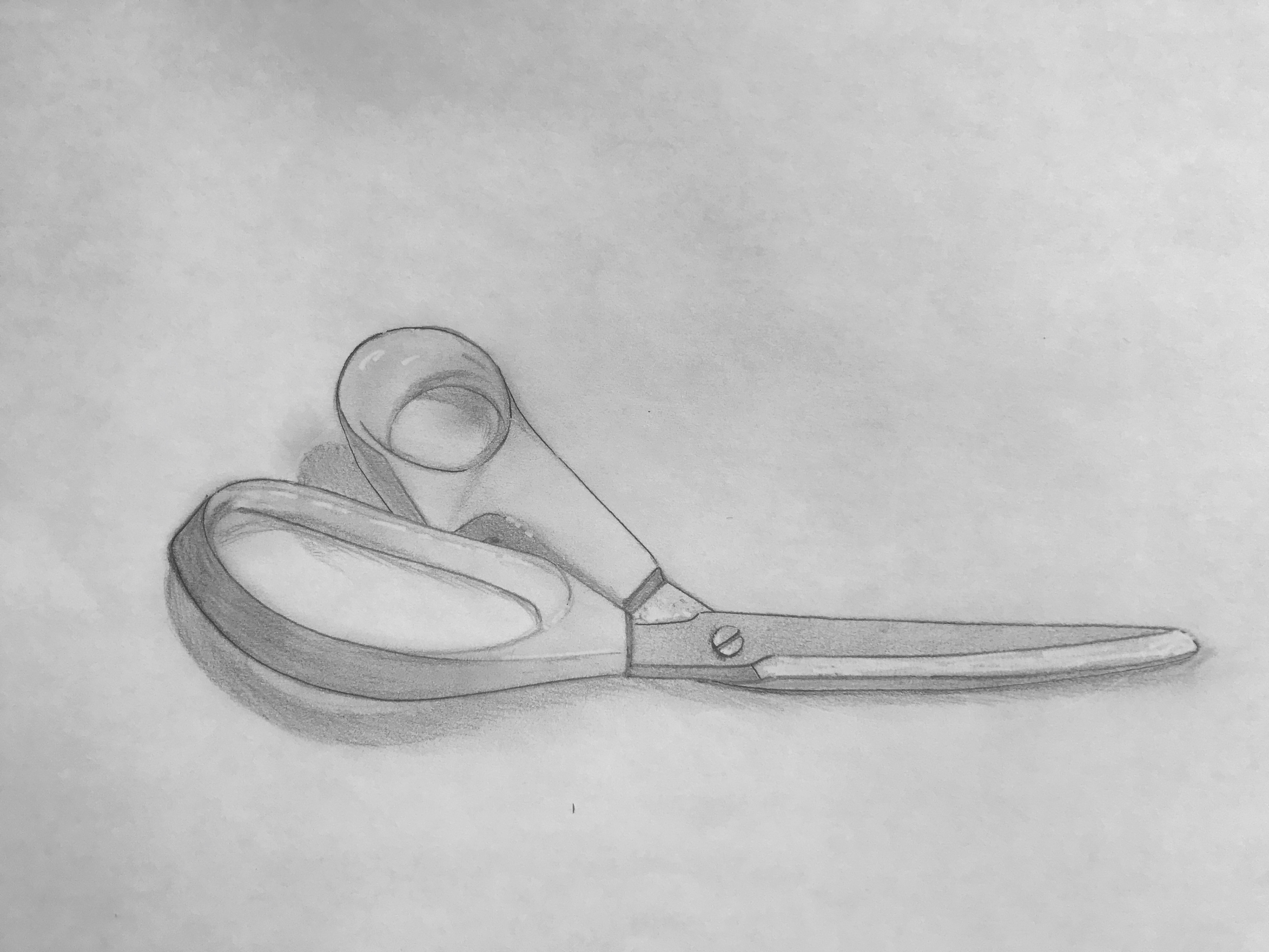 sketchbook - pencil