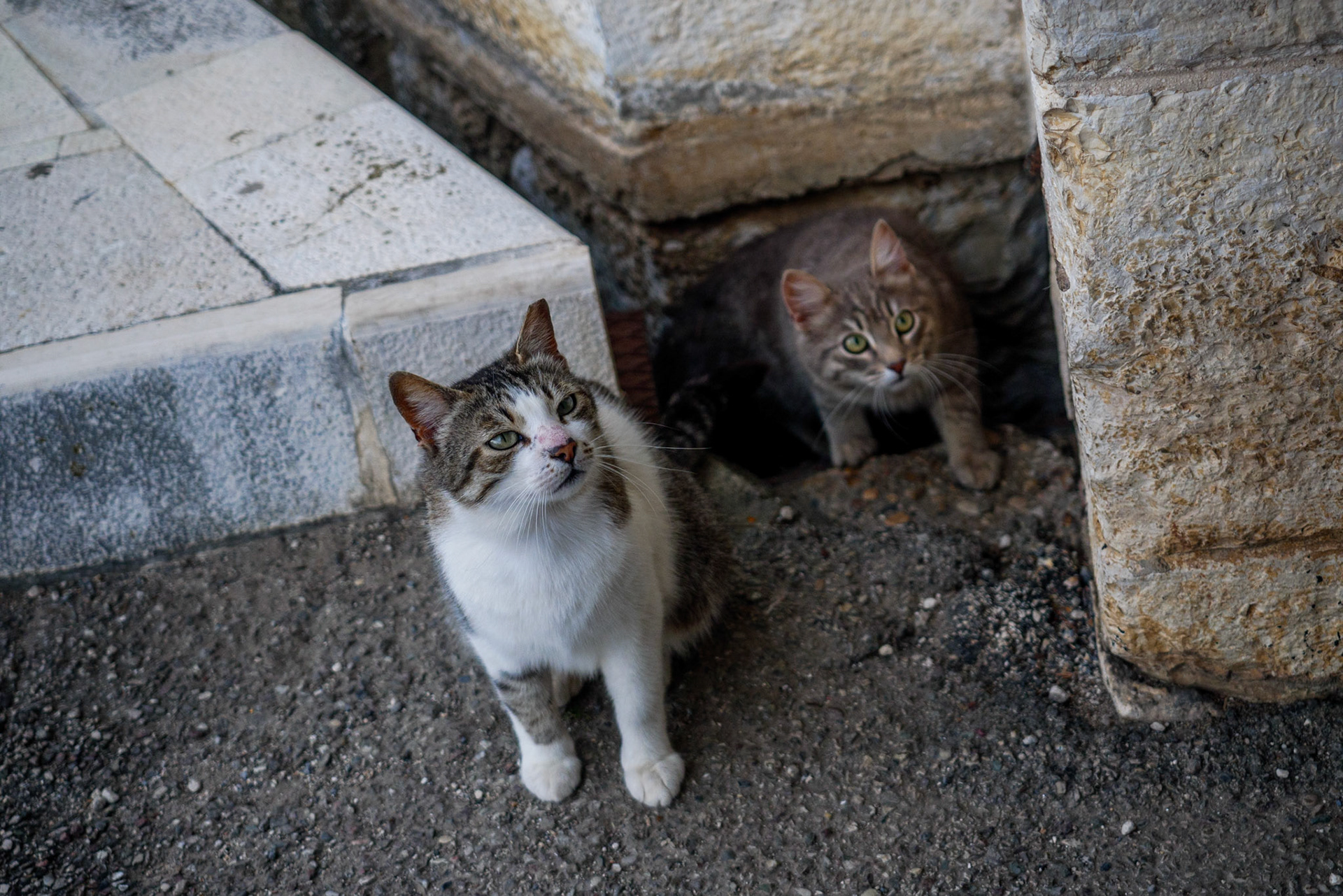 Old Fortress, Corfu