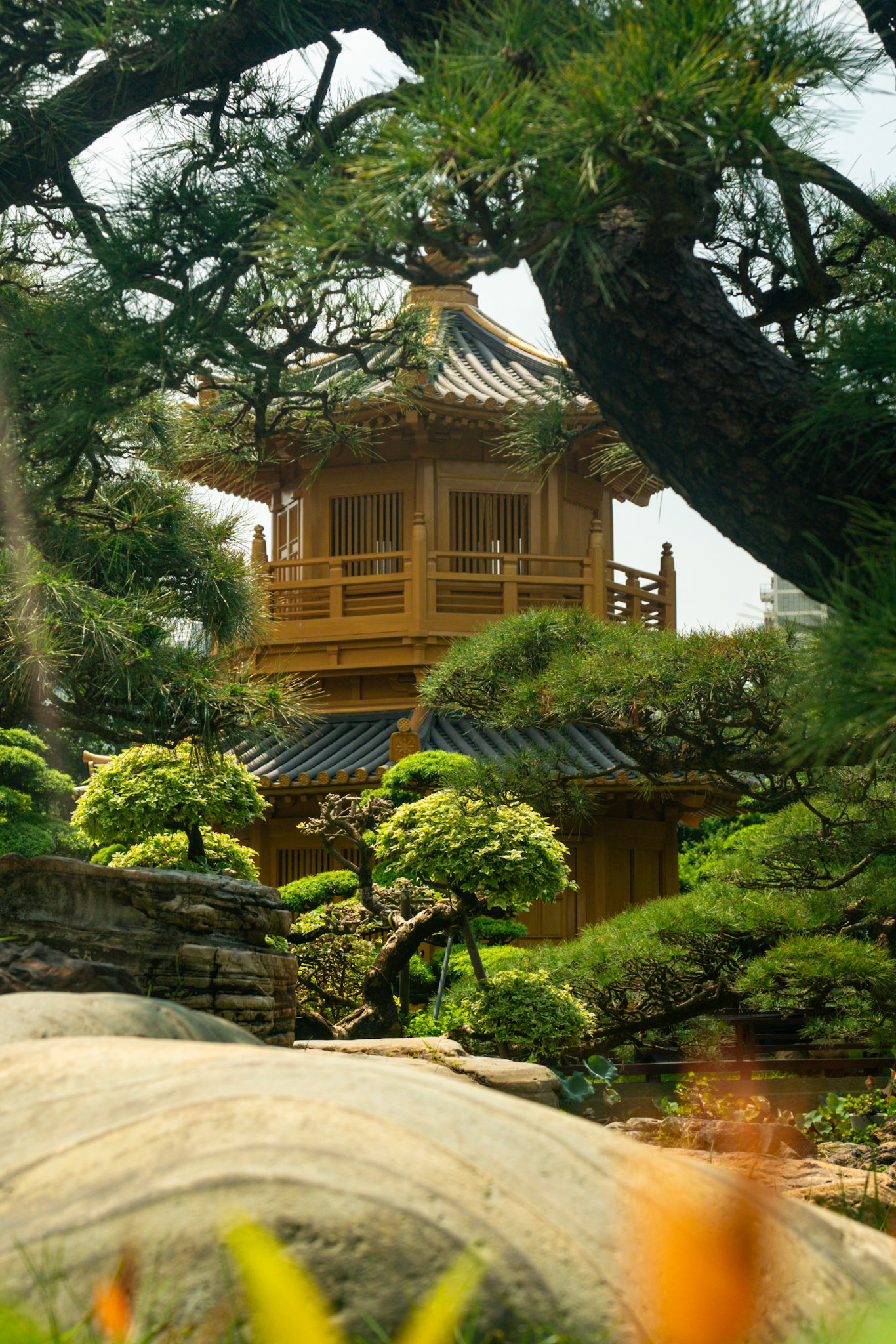 Nan Lian Gardens, Hong Kong