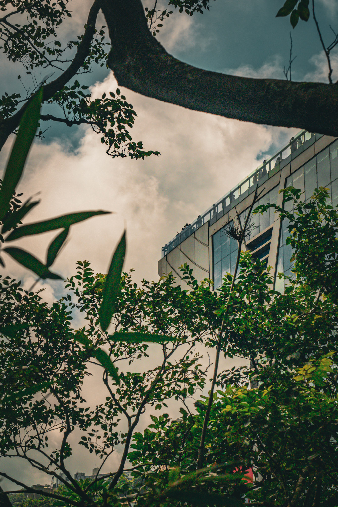 Hong Kong Peak