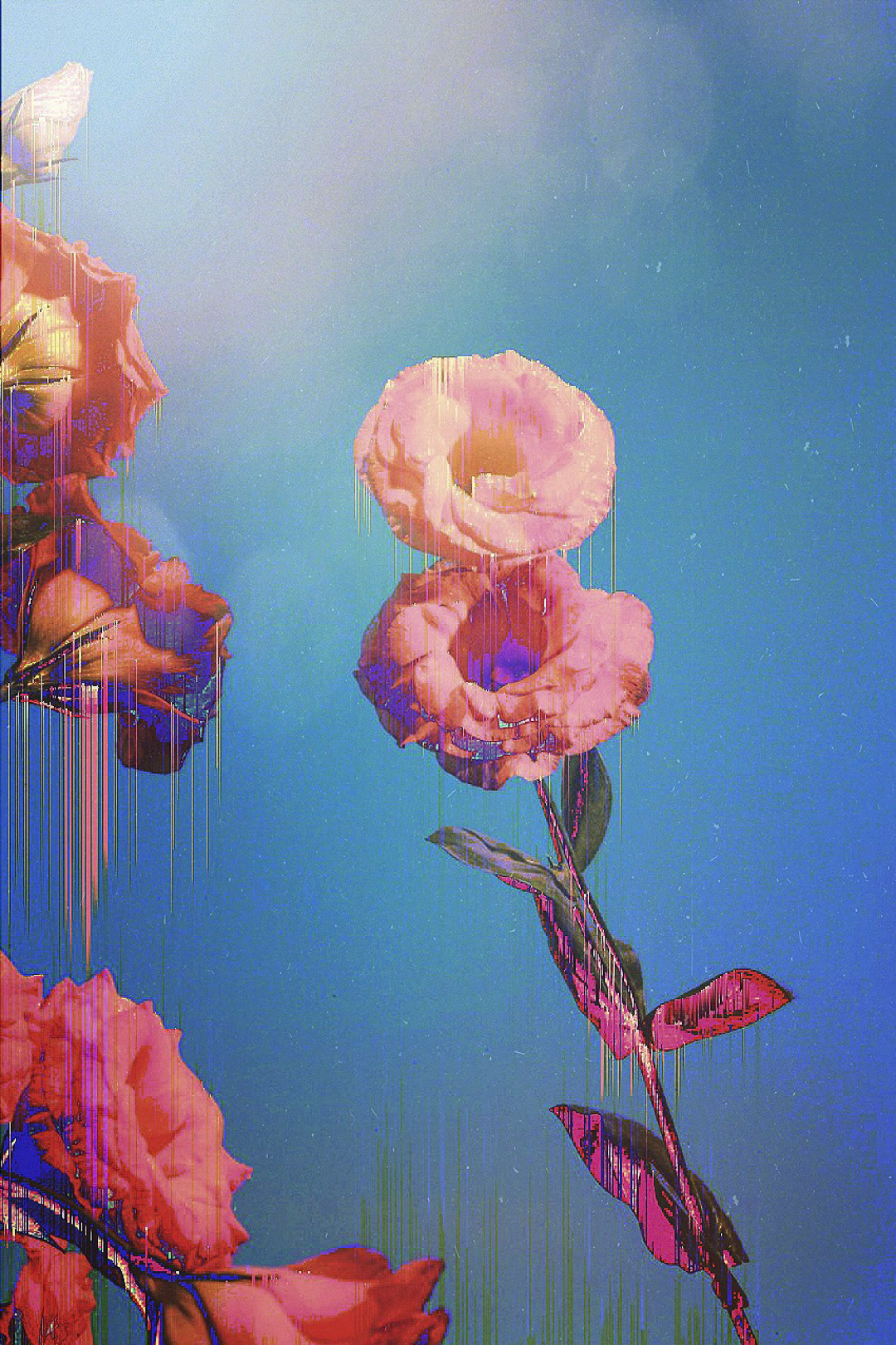 {"subsource":"done_button","uid":"20B29FA1-08F9-45F1-AC45-1F2A97BEC43D_1587258975135","source":"other","origin":"unknown","source_sid":"20B29FA1-08F9-45F1-AC45-1F2A97BEC43D_1587258975146"}