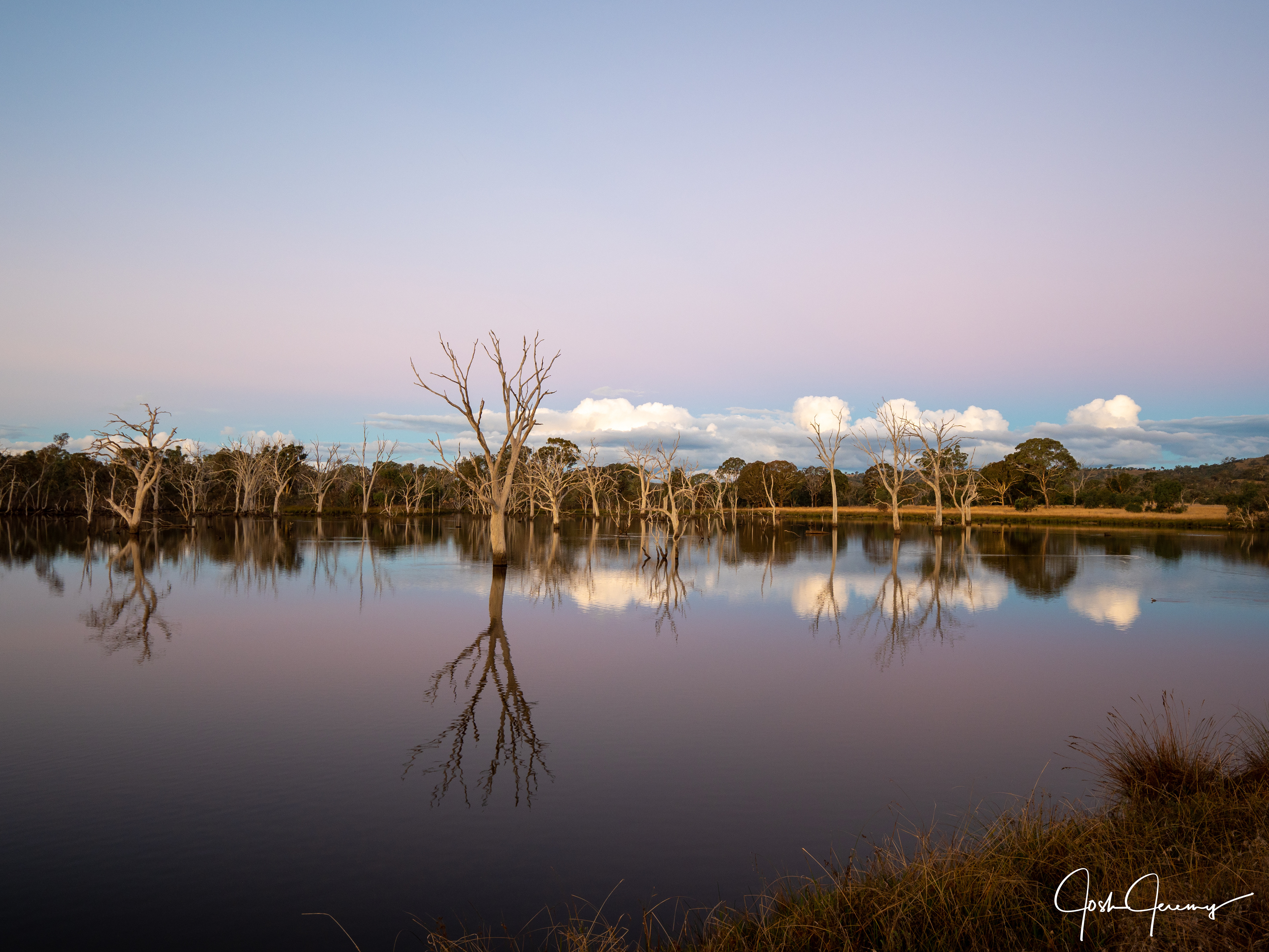 Mulligans Flat Nature Reserve