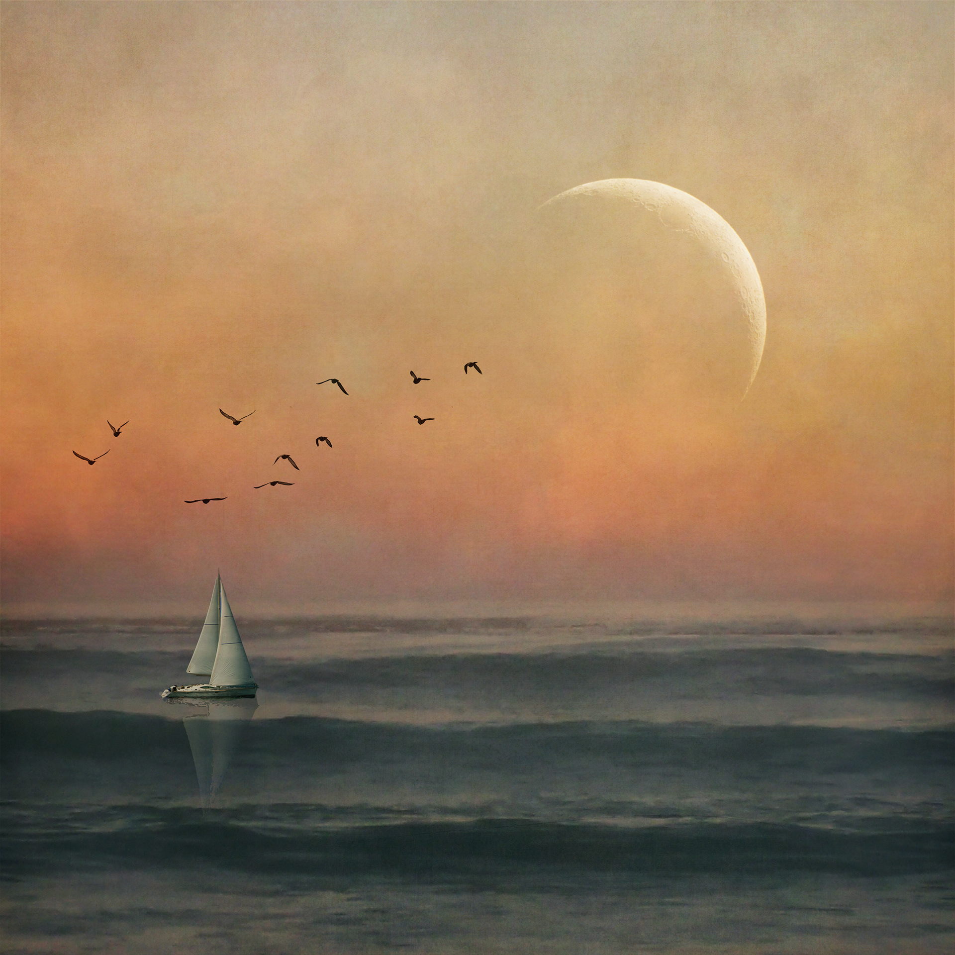 ~ cherish the moments ~