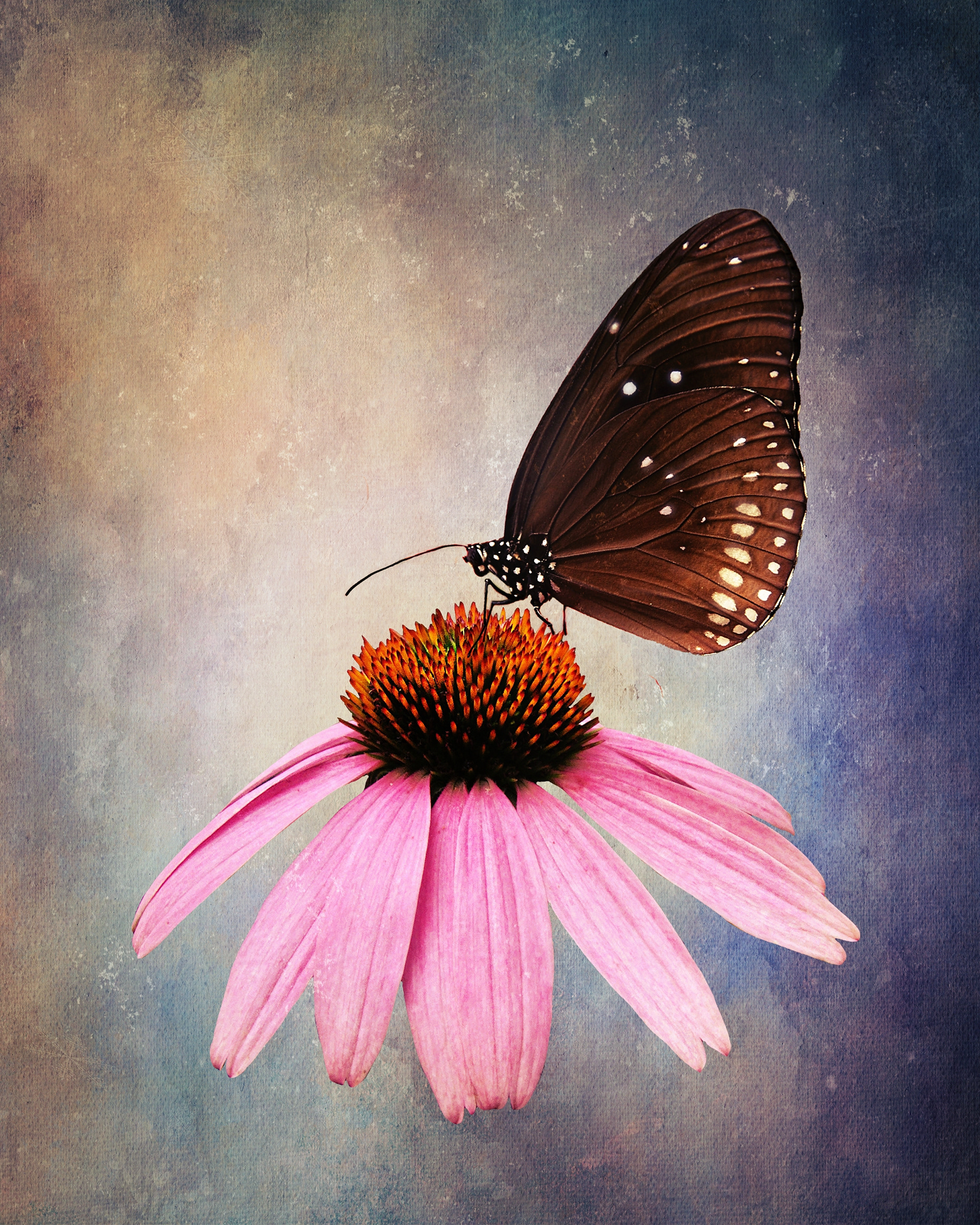 ~ Tread Ever so Lightly ~ ( October 2021)