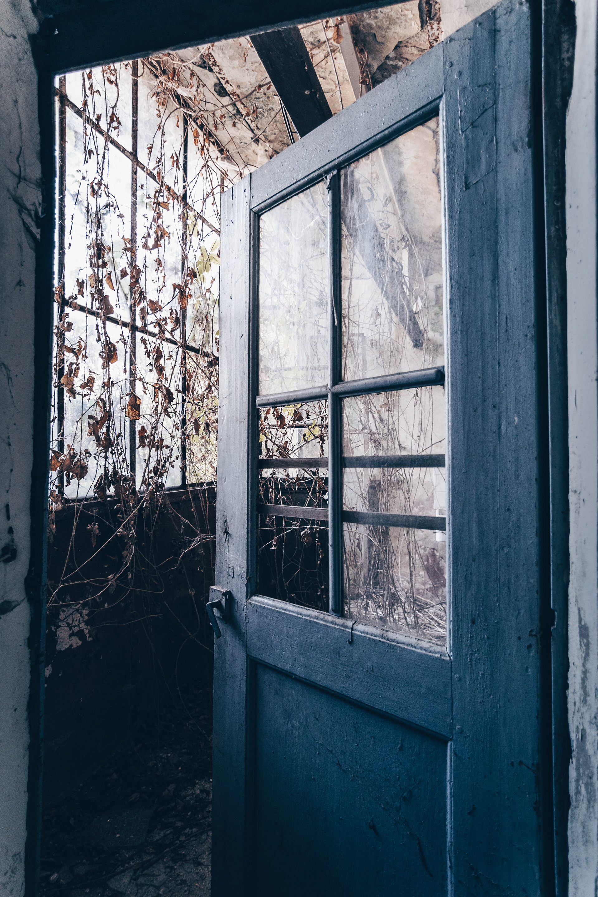 Villa Magnificat (Italie)