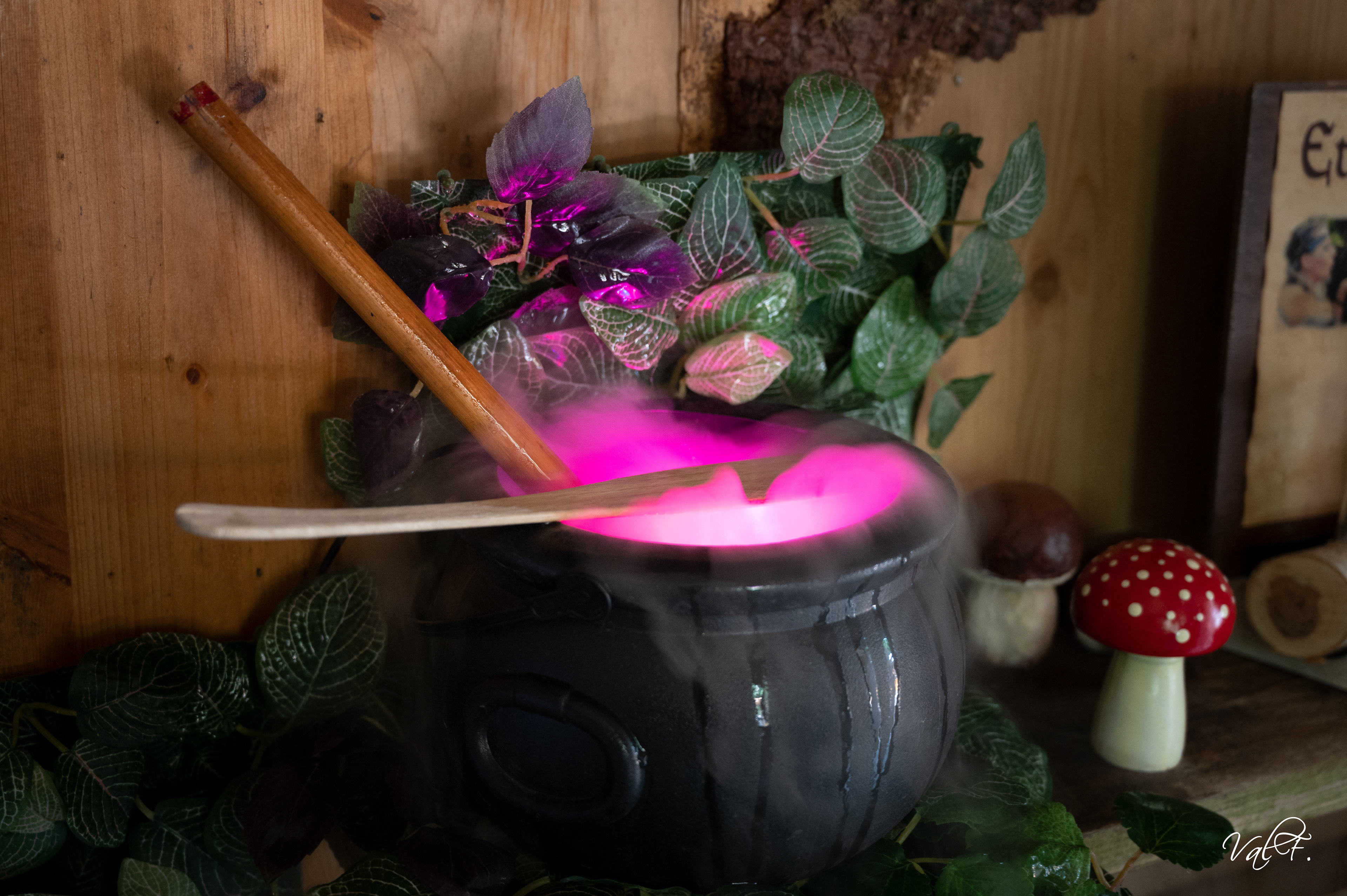 Grandes Médiévales d'Andilly 2022