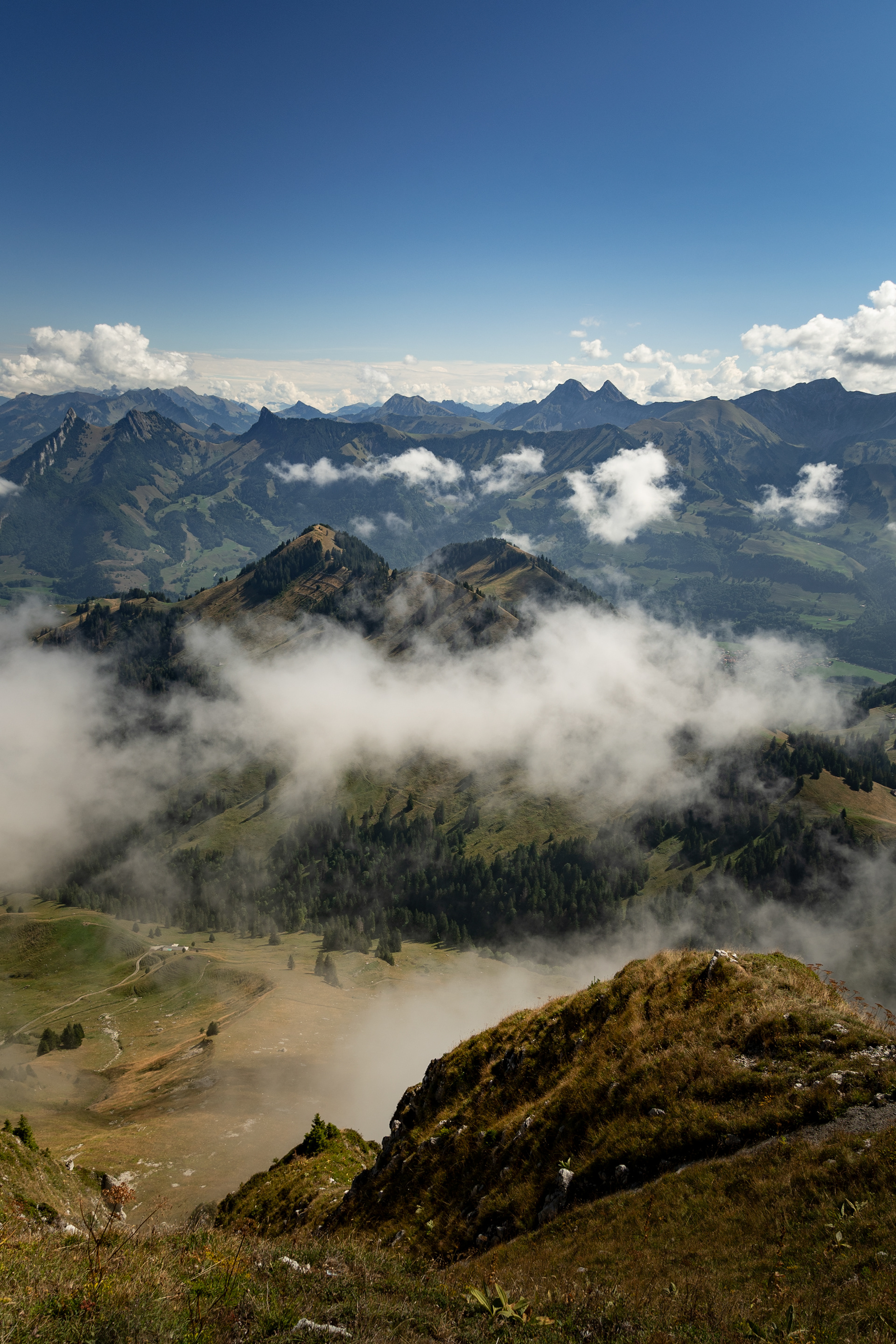 Vue depuis le Moléson