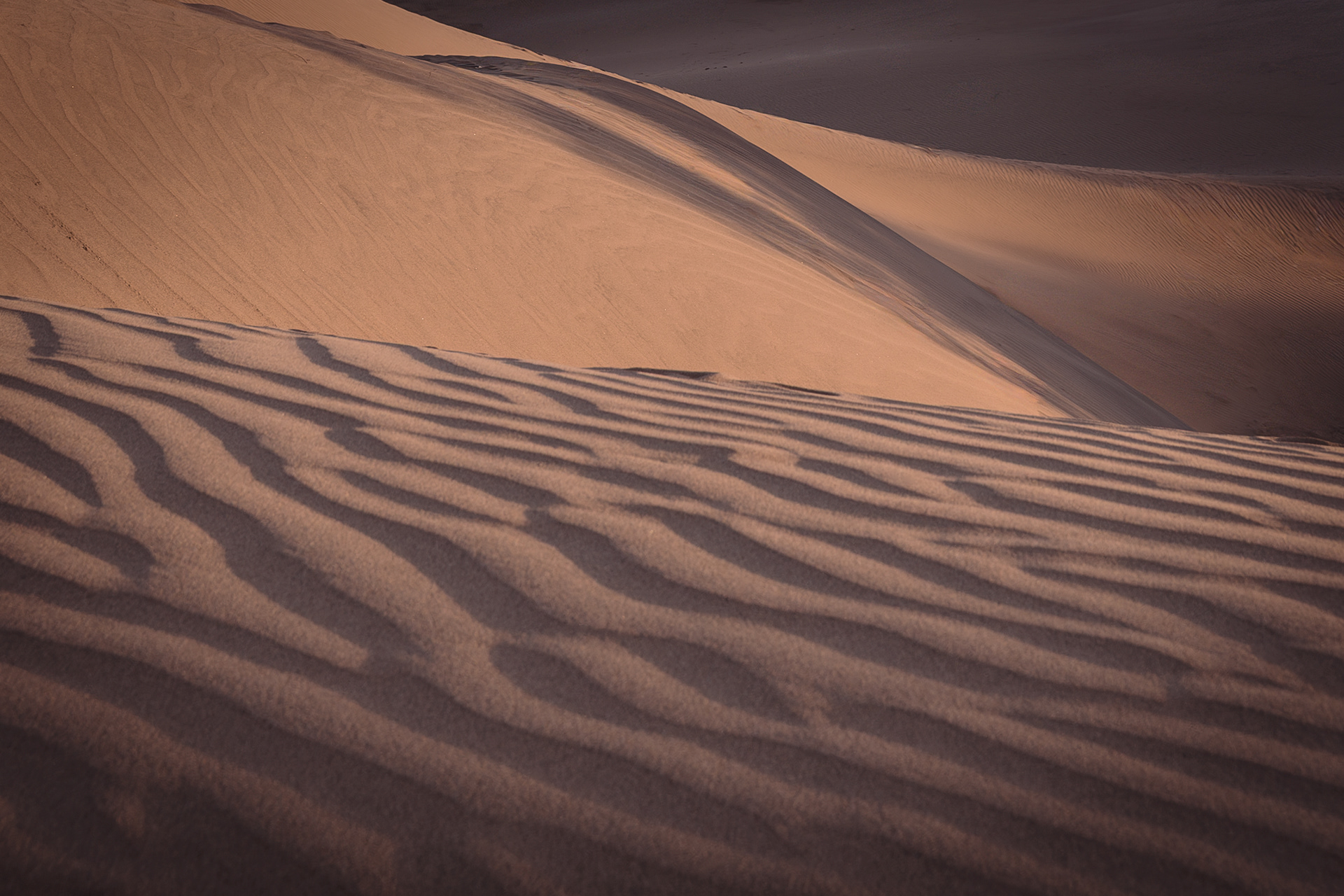Dunes de Maspalomas (Gran Canaria)