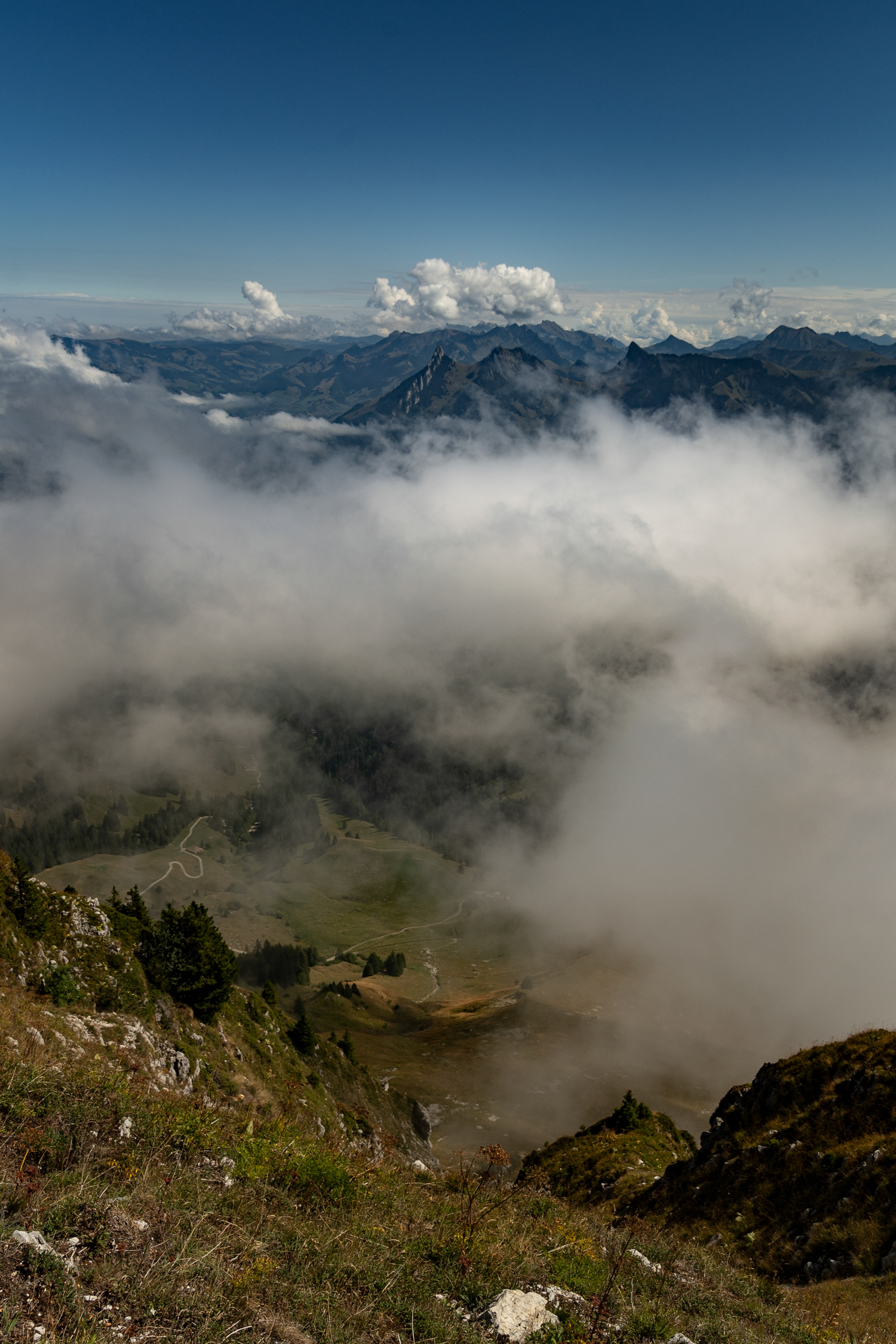 Vue depuis le Moléson
