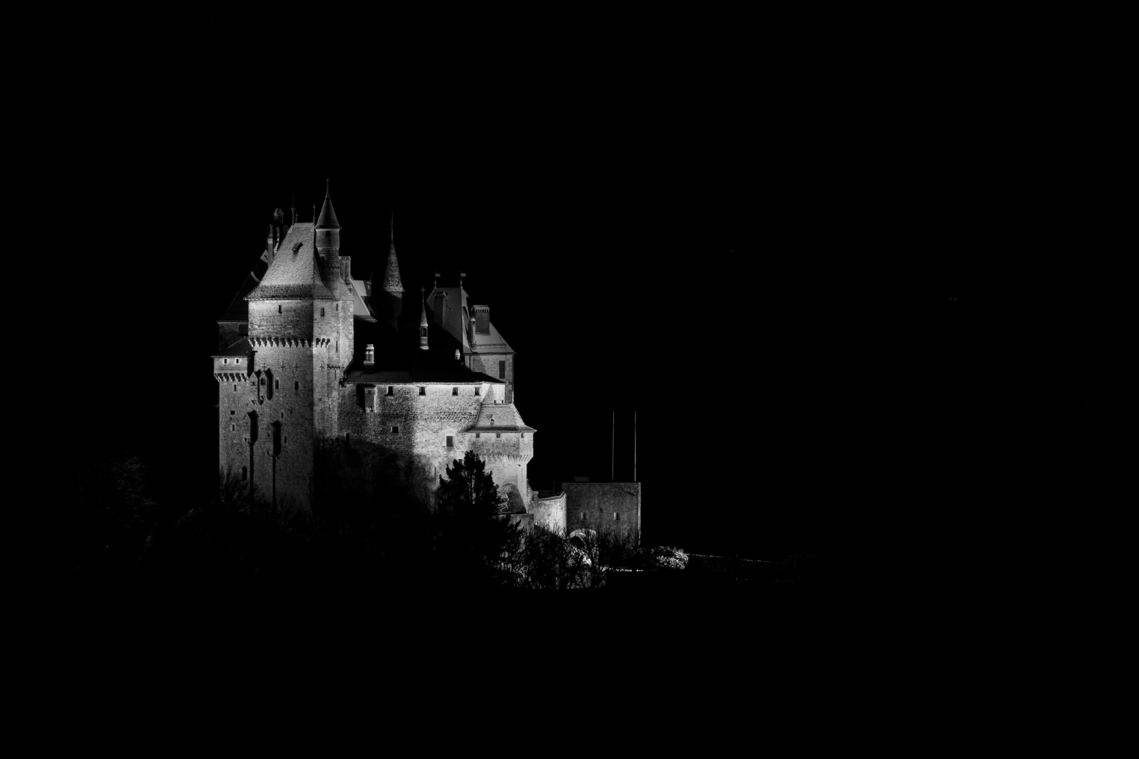 Château de Menthon-Saint-Bernard