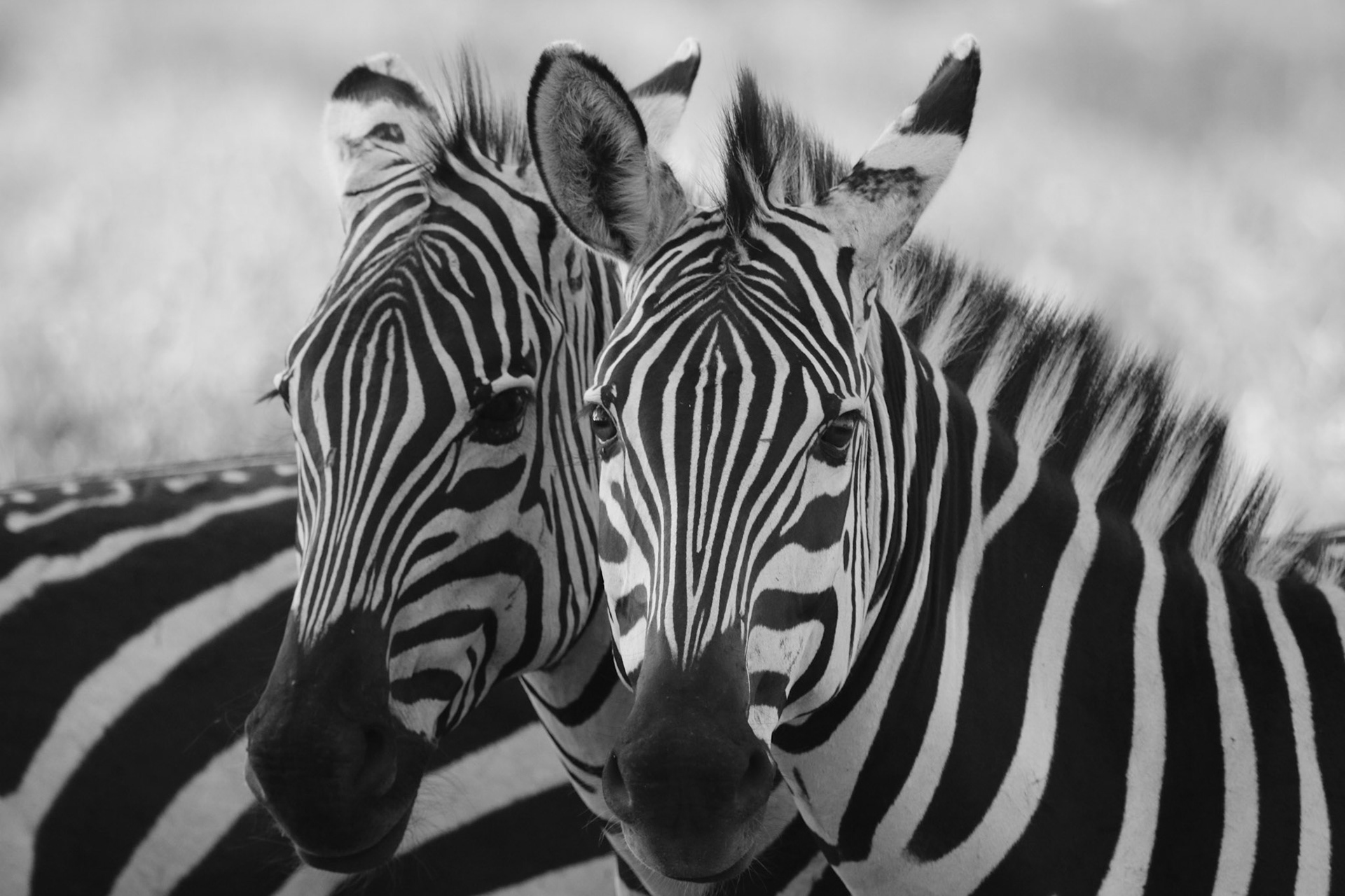 Processed With Darkroom