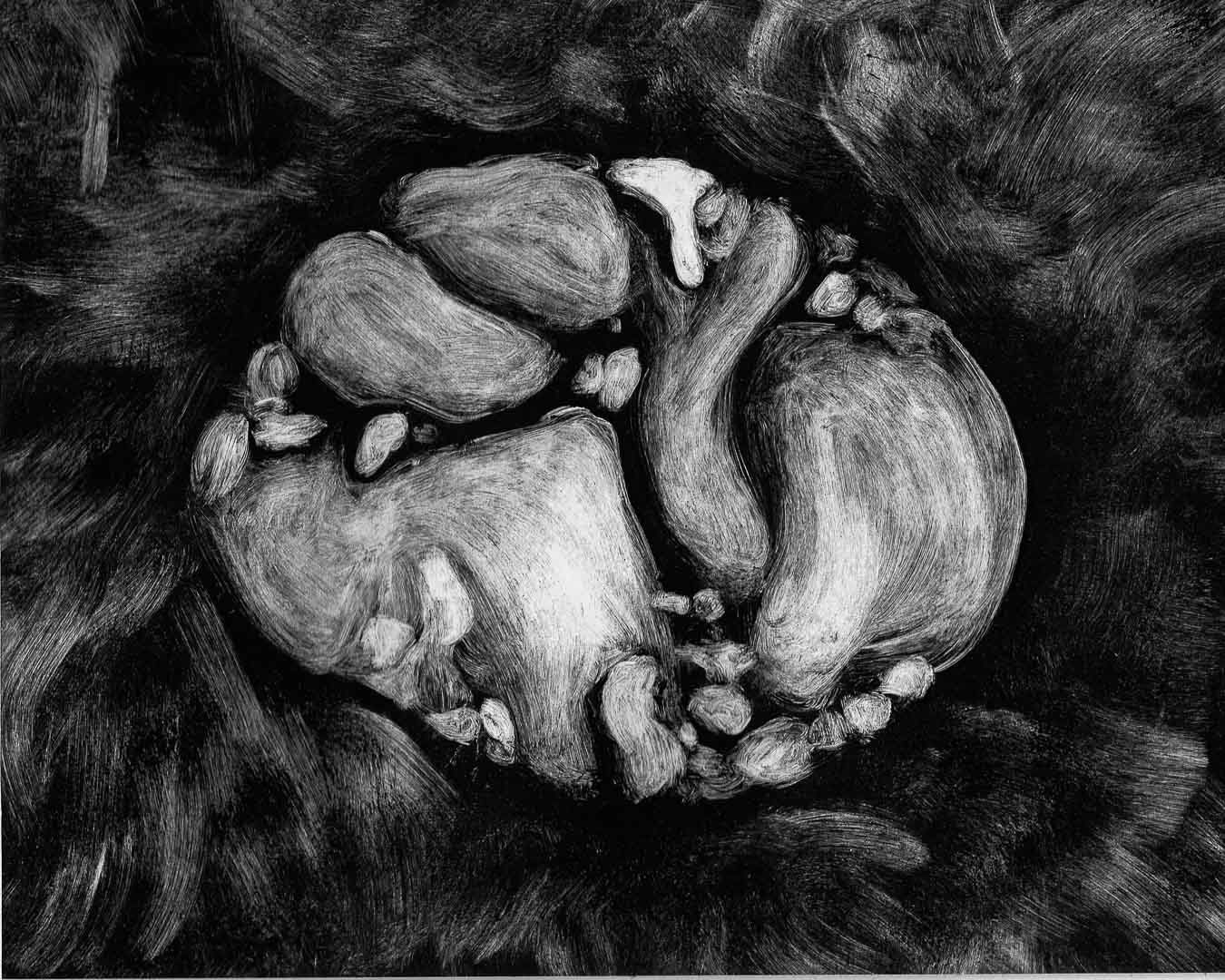 Organisme No. 17, monotype, 8 x 10 po