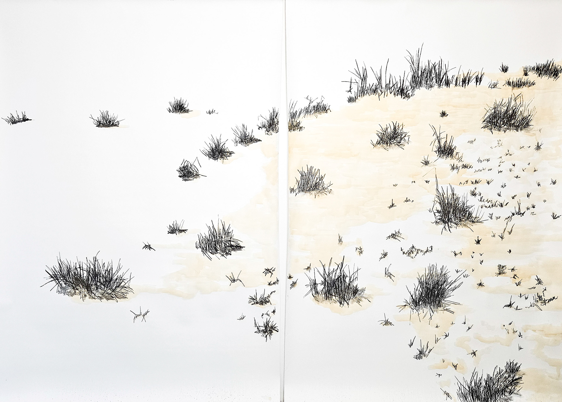 Stabilisation, 2024. Fusain et thé sur papier, 7 x 10 pieds