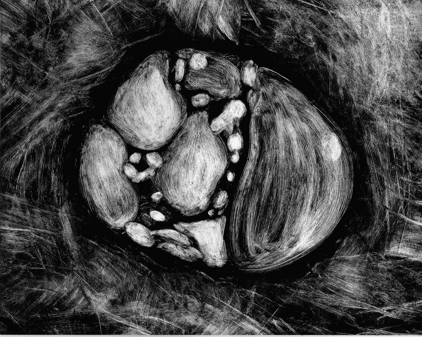 Organisme No. 17, monotype, 8 x 10 po