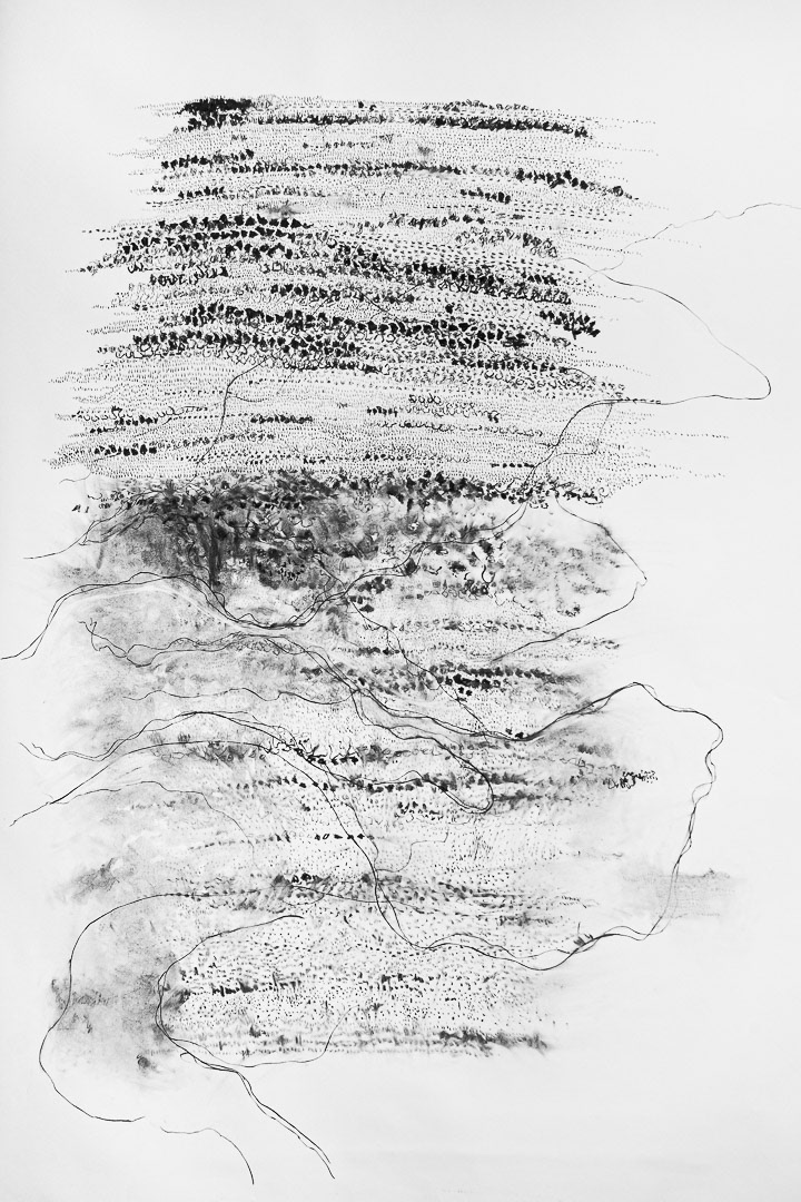 Procès-verbal, 27 janvier 2020, fusain sur papier, 213 x 152 cm