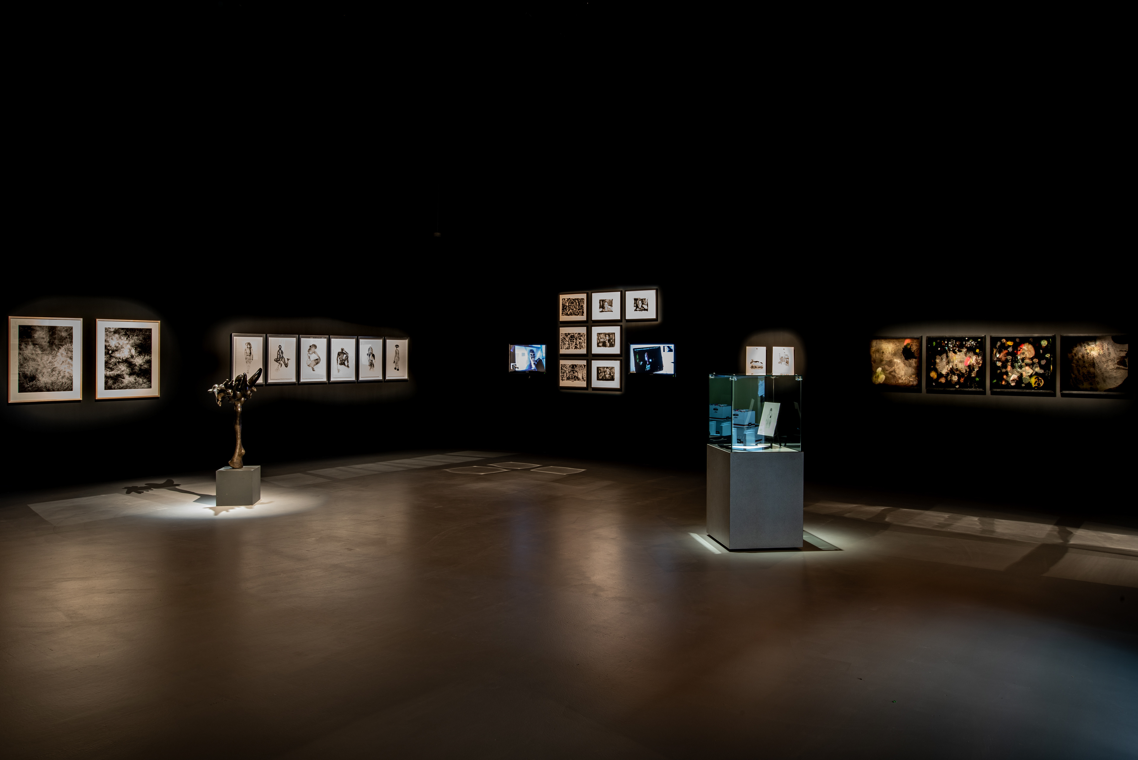 Vue d'installation