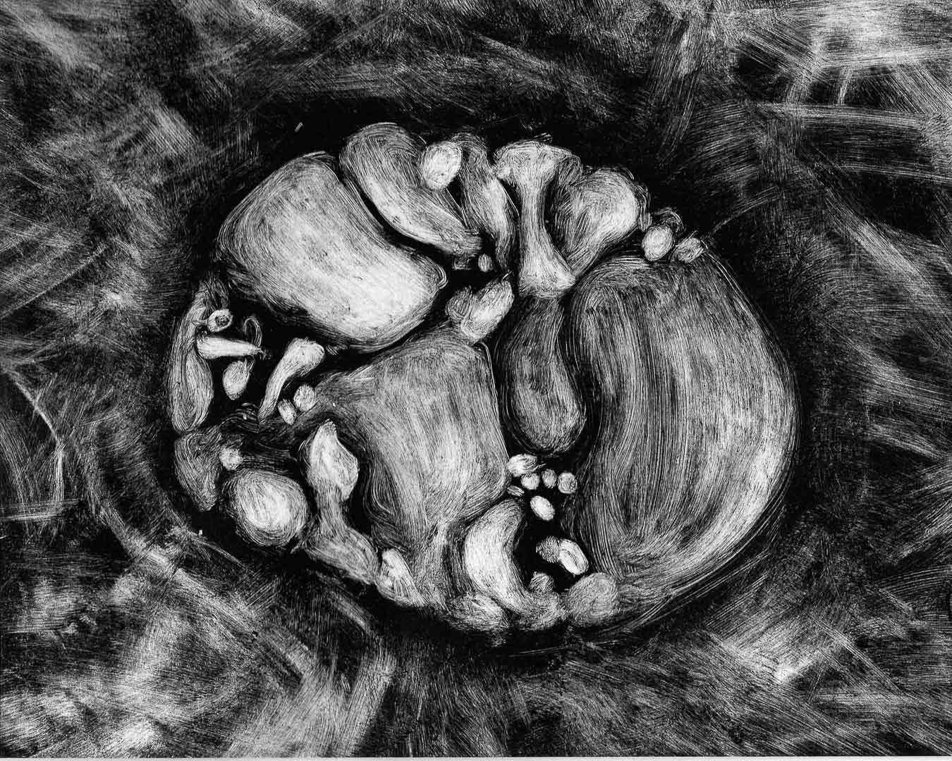 Organisme No. 17, monotype, 8 x 10 po