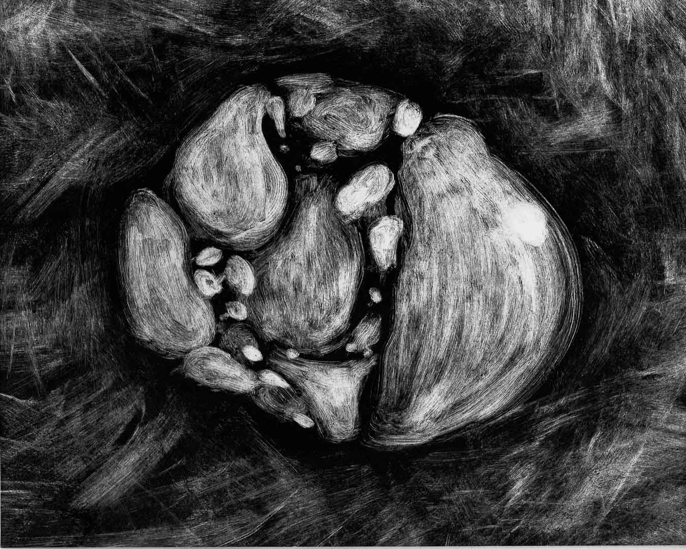 Organisme No. 17, monotype, 8 x 10 po