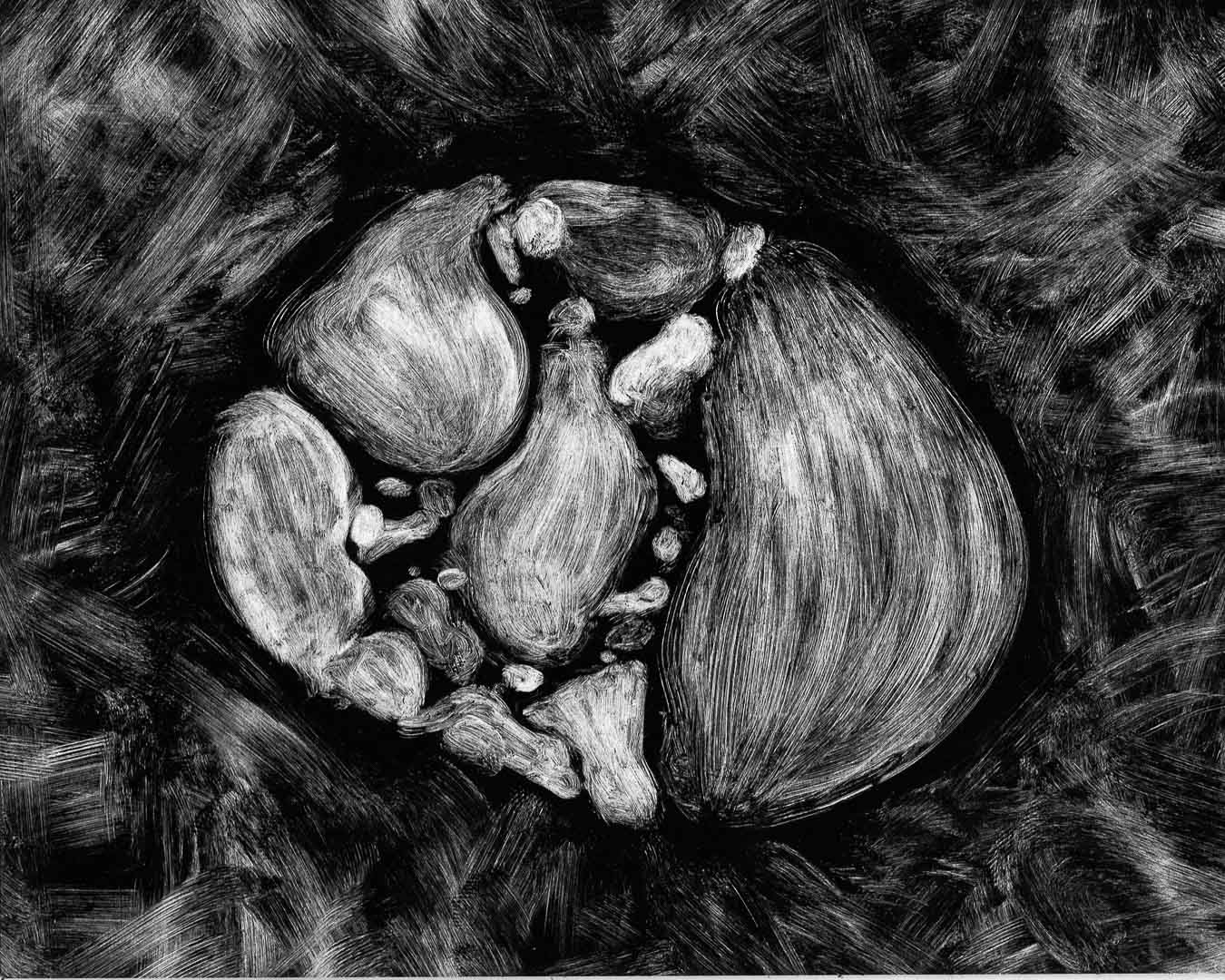 Organisme No. 17, monotype, 8 x 10 po