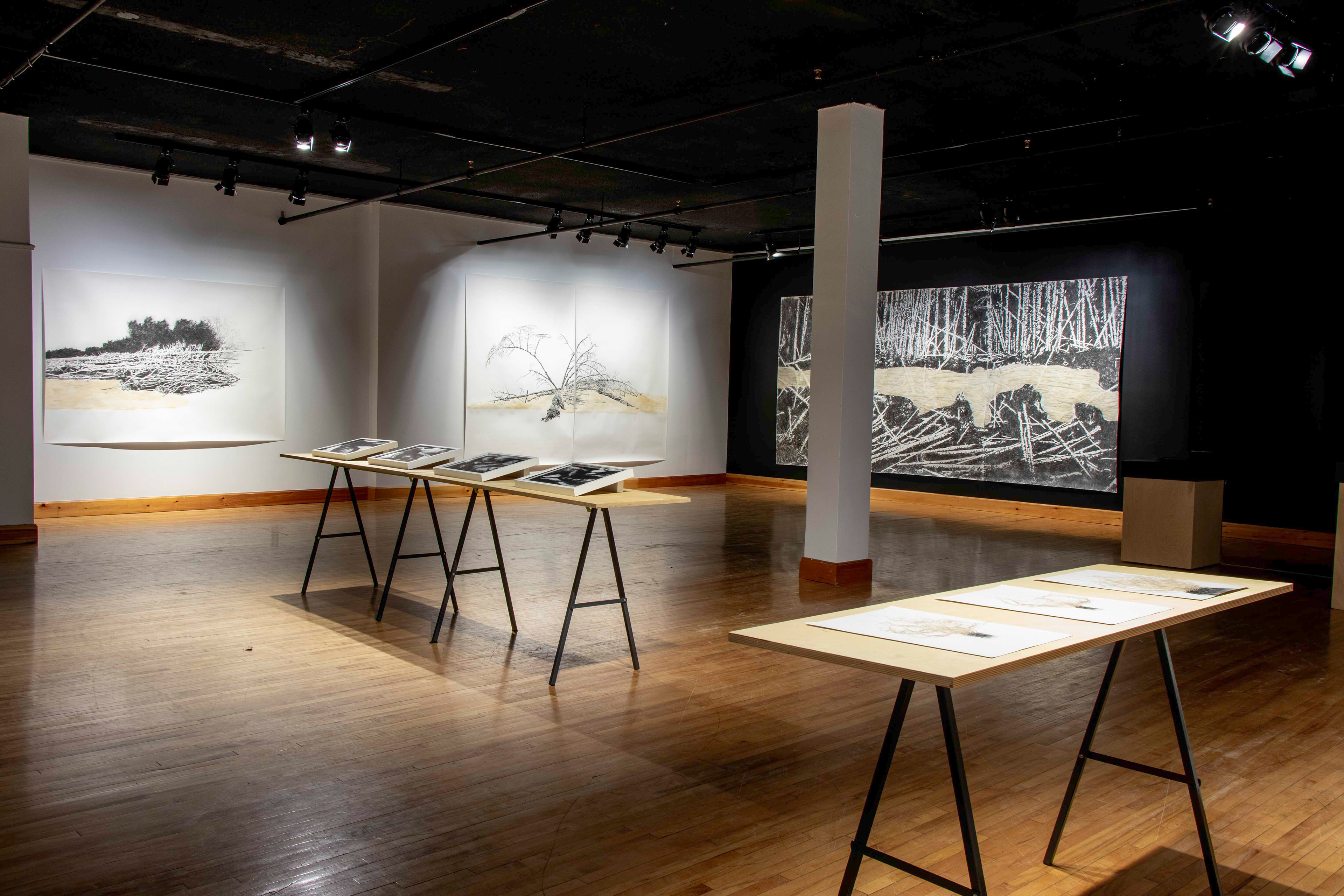 Salle L'Aternative, Baie-Comeau (vue d'installation)