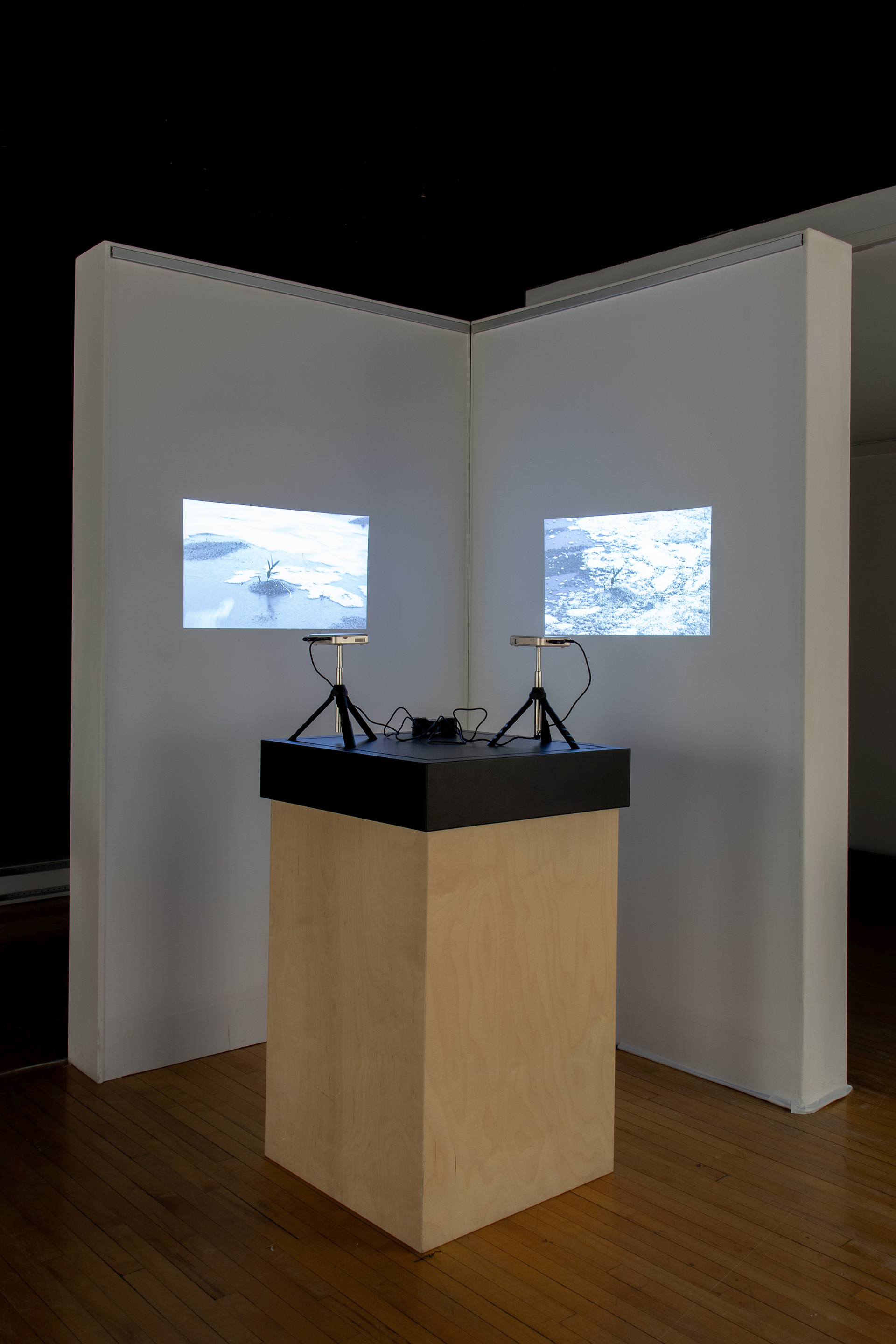 Vue d'installation, 2024. Salle l'Alternative, Baie-Comeau