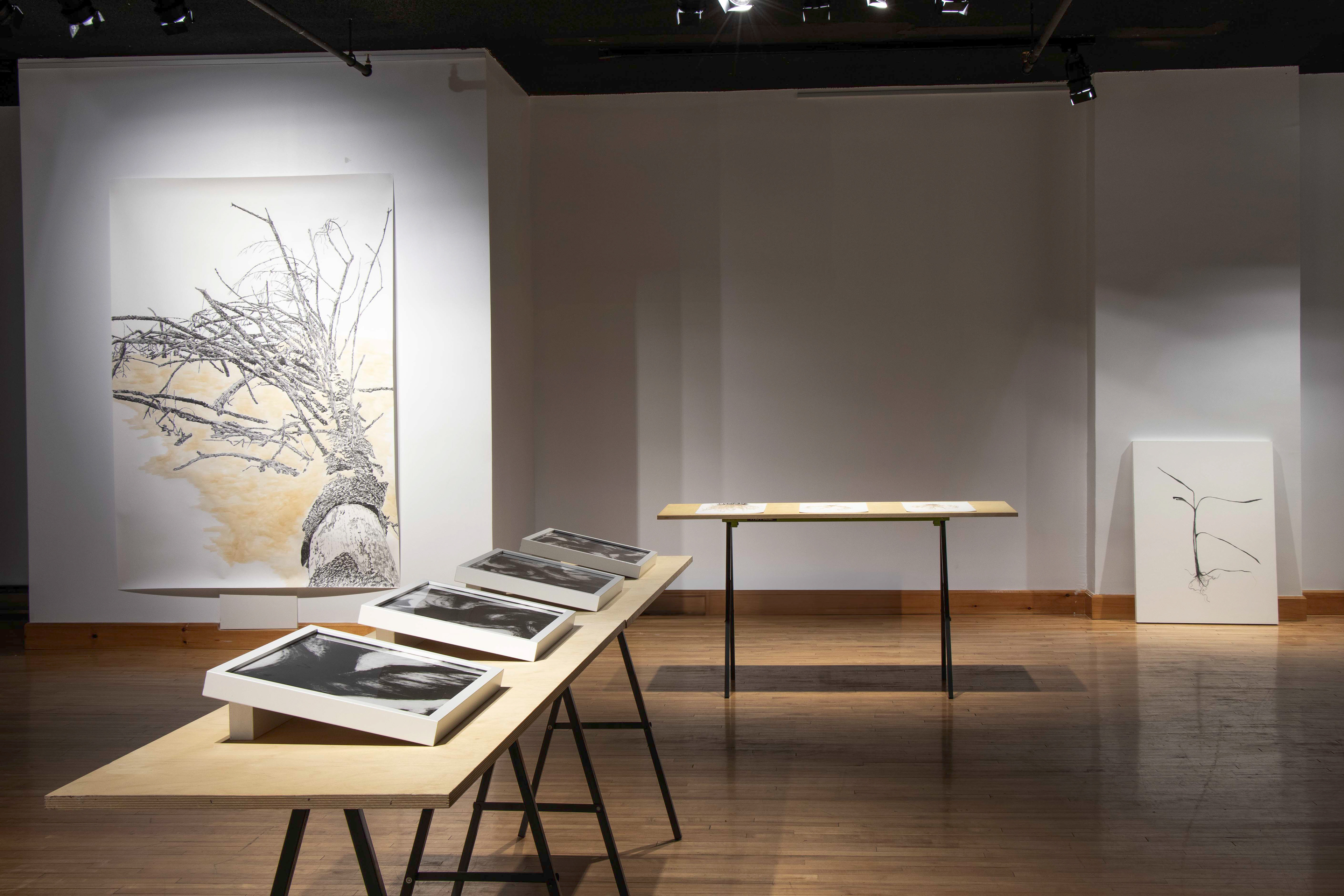 Salle L'Aternative, Baie-Comeau (vue d'installation)